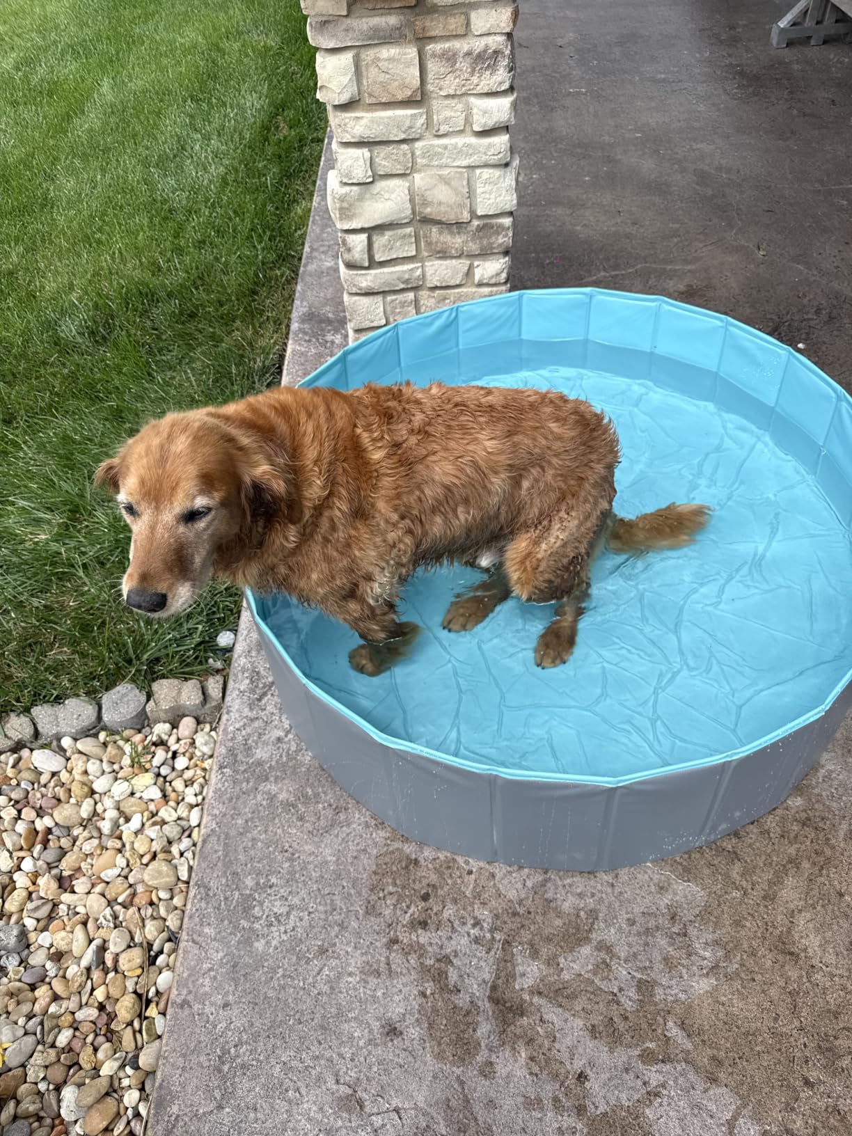 SLOOSH Foldable Dog Kiddie Pool - Portable Hard Plastic Doggie Swimming Pool, Anti-Slip Collapsible Pets Bath Tub Suitable for Kids Indoor Outdoor Backyard Use (Blue, 48
