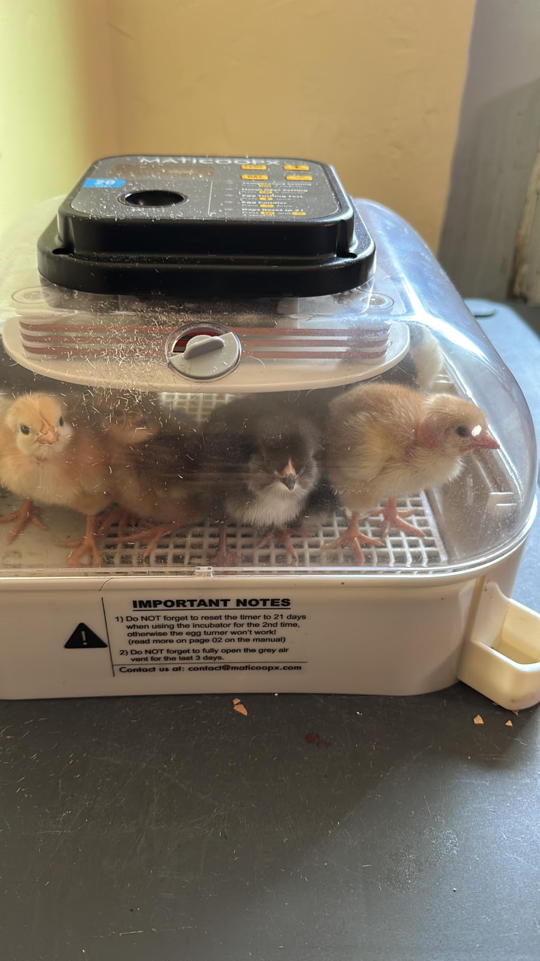 MATICOOPX 20 Egg Incubator with Humidity Display, Egg Candler, Automatic Egg Turner, for Hatching Chickens customer photo 1