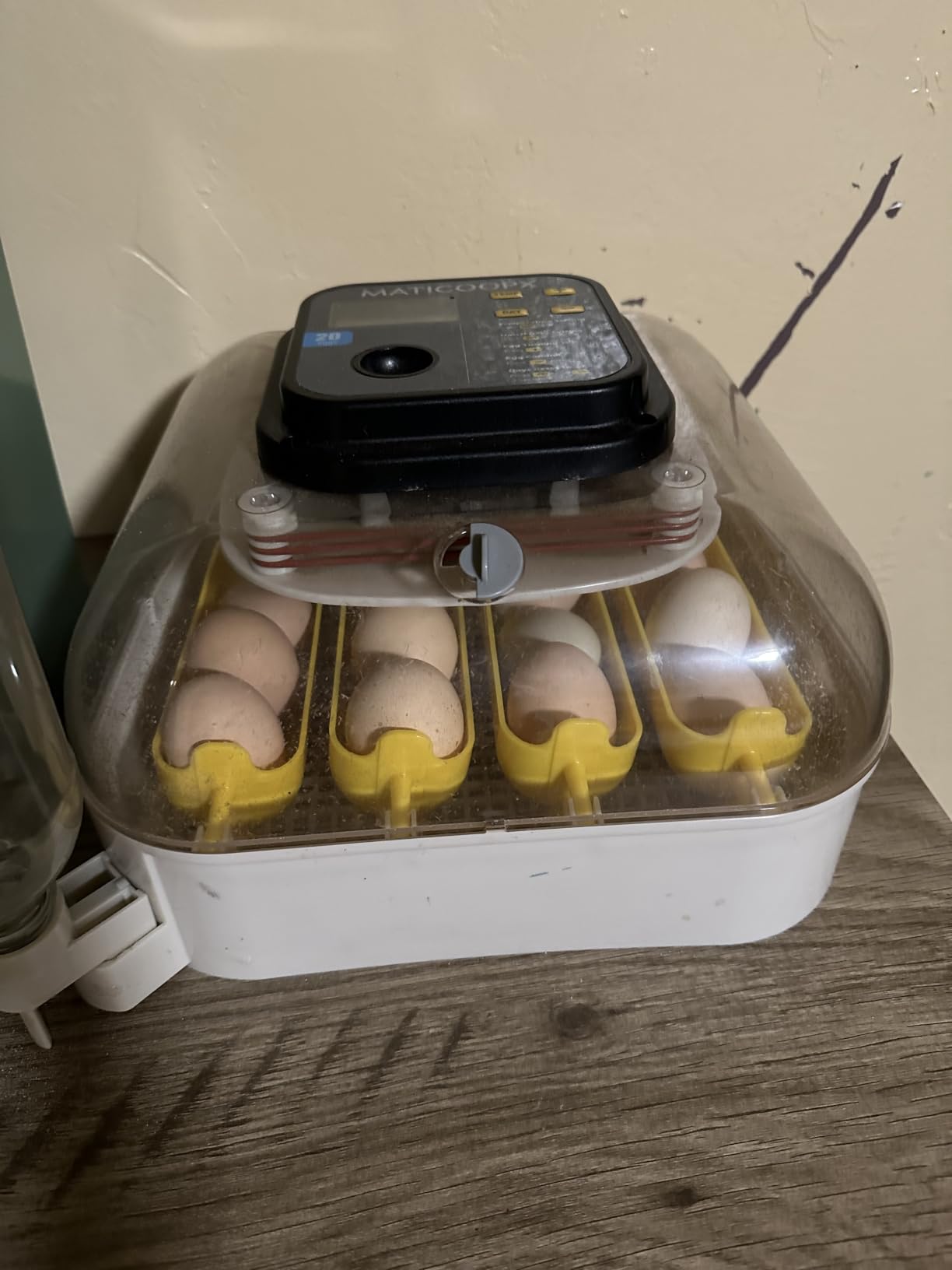 MATICOOPX 20 Egg Incubator with Humidity Display, Egg Candler, Automatic Egg Turner, for Hatching Chickens customer photo 2
