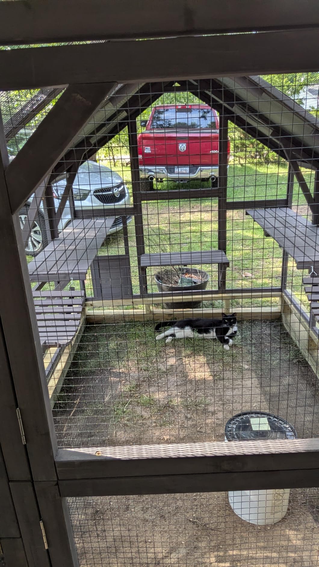 Aivituvin Cat Catio Outdoor Cat House Movable Large Enclosures on Exercise Wheels Kitty Cage with Upgraded Resting Box,Waterproof Cover customer photo 2