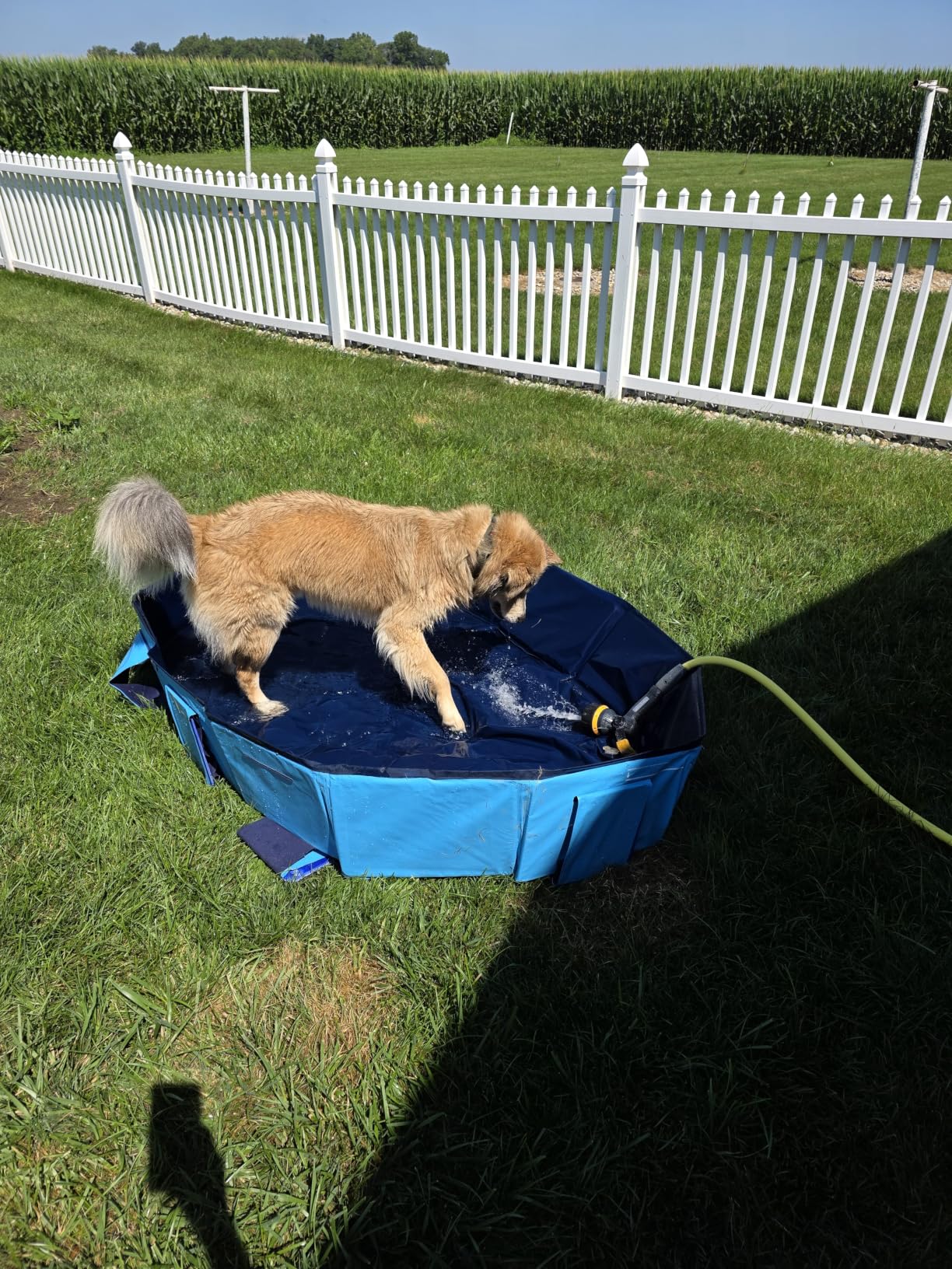 Peteast Foldable Dog Pool - Extra Large 71