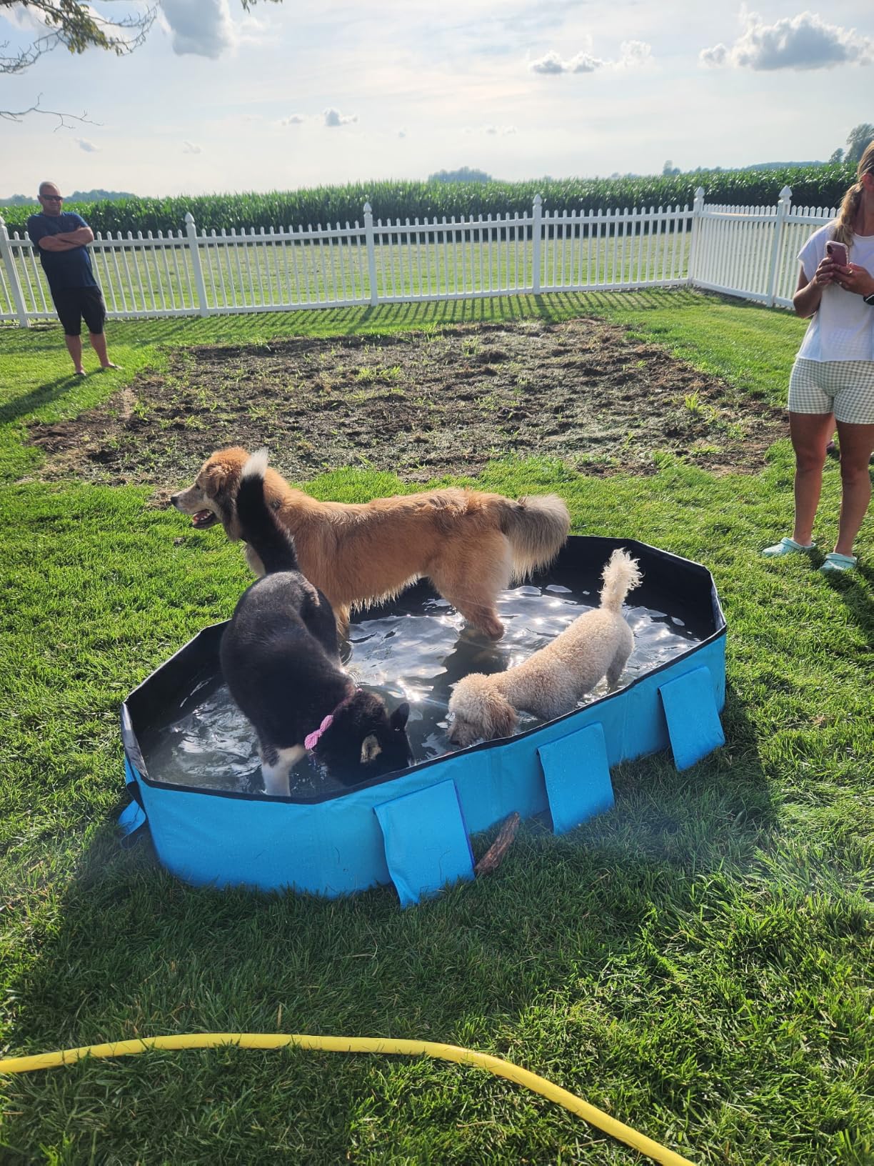 Peteast Foldable Dog Pool - Extra Large 71
