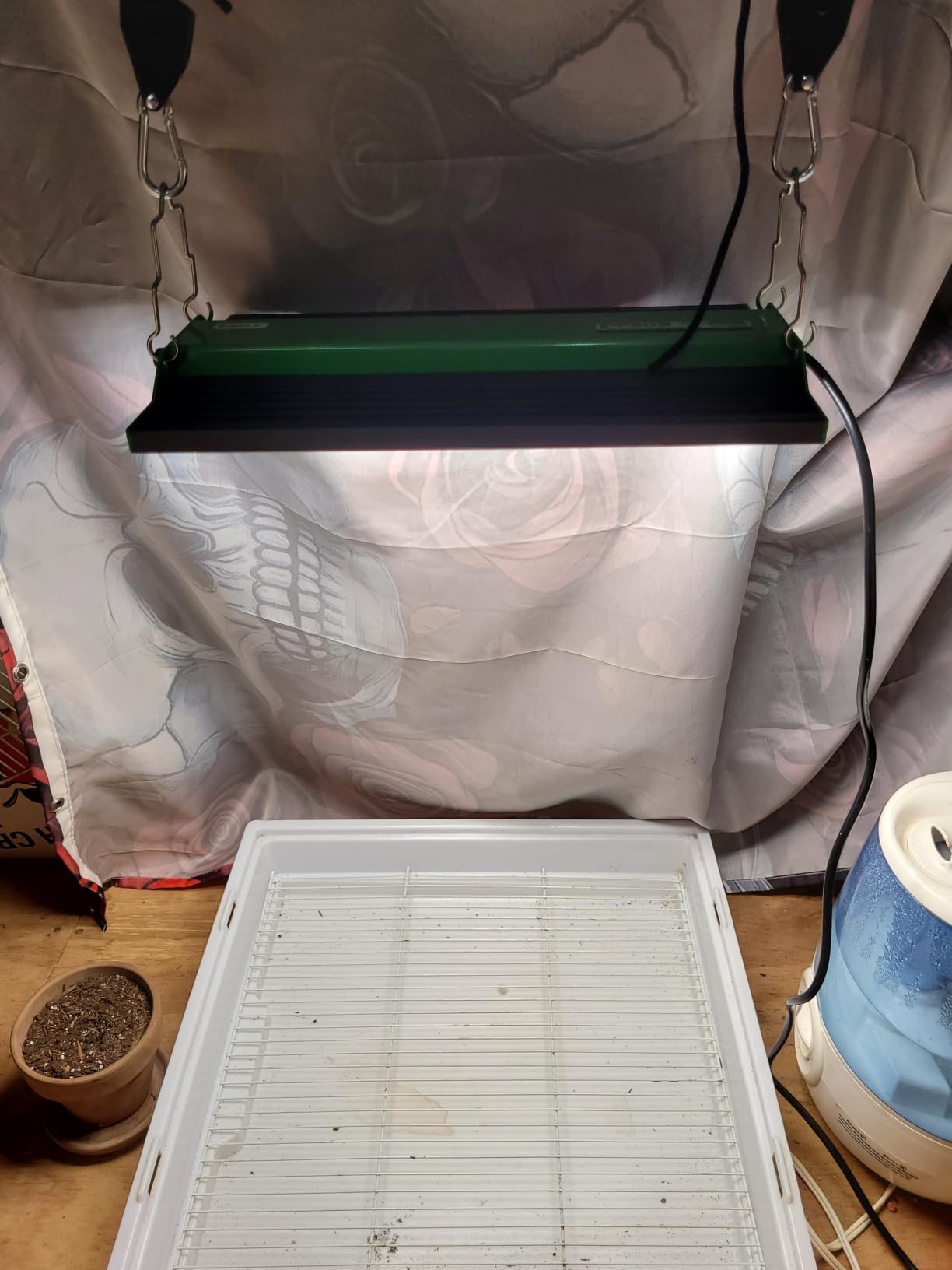 VIPARSPECTRA P700 Grow Light, 70 Watt Dimmable Full Spectrum Plant Light, LED Grow Lights for Indoor Plants Seed Starting Seedlings Vegetable,11000 Lumens Small Hanging Growing Lamp for 2x2 Grow Tent customer photo 2