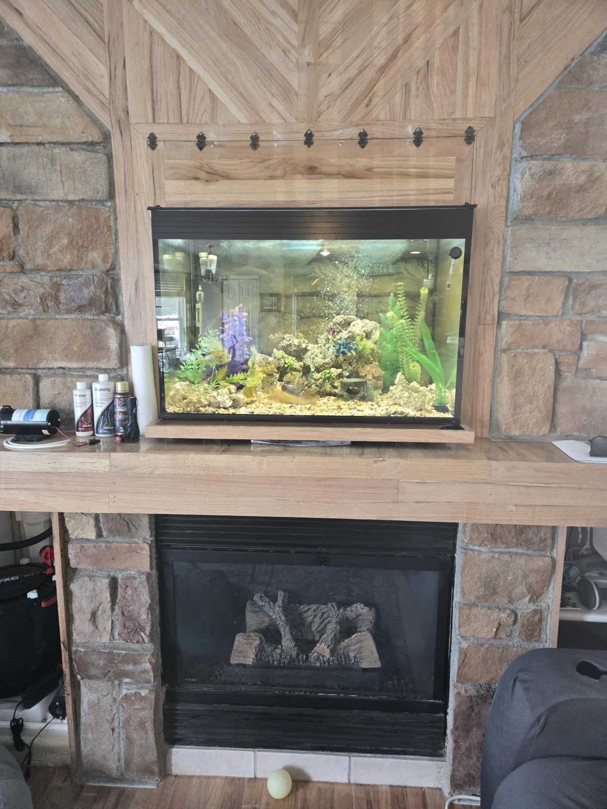 150G3H 150 Gallon SC Aquarium 60 x 24 x 24 H customer photo 1
