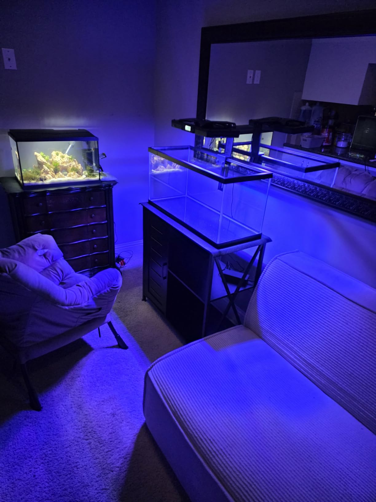 SEAOURA 120W Reef Light for Corals Saltwater Aquarium Tank SR-691 | 395-665nm Full Spectrum, WRGB 5 Channel Programmable, 3 Timer, Smart Quiet Cooling, Vibrant SPS LPS Color & Fluoresce customer photo 1