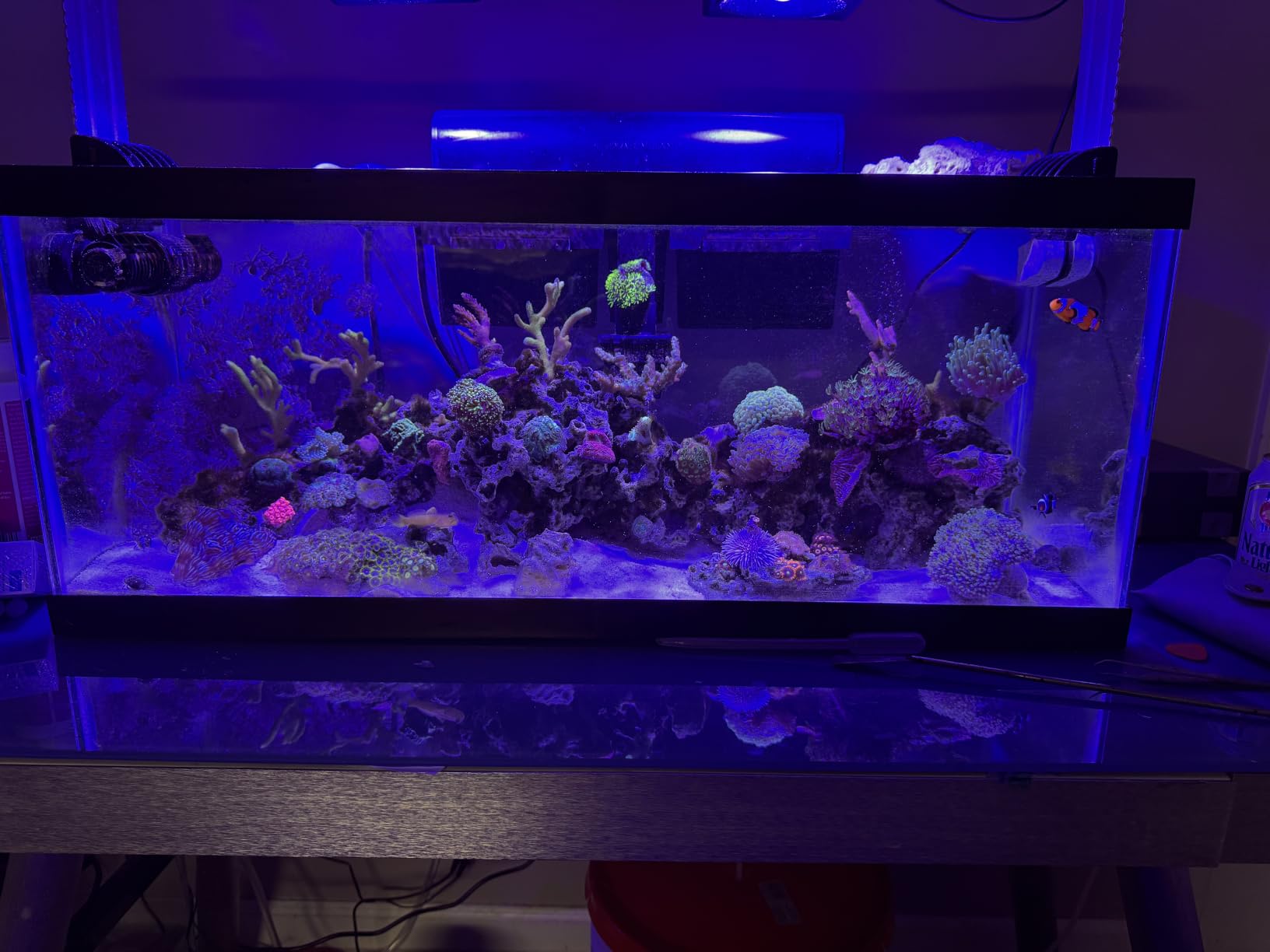 hygger Intelligent Wave Maker for Aquarium, Saltwater Freshwater Circulation Pump Adjustable 6 Waves/Night/Feed/Wireless Connection Mode, Magnetic Holder Display Controller Memory Function (25W) customer photo 1