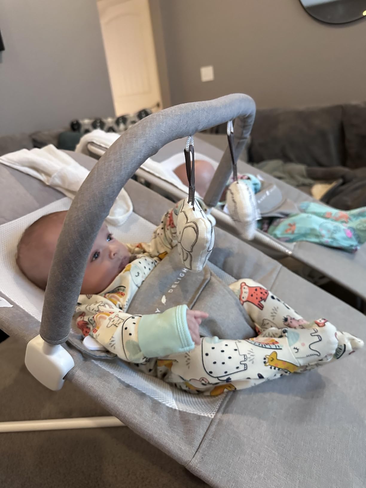 Baby Delight Highland Baby Bouncer, Sage Tweed | For Infants 0-6 Months, 3-Position Recline, Adjustable 3-Point Harness, Secure Locking Mechanism, Folds Flat customer photo 2