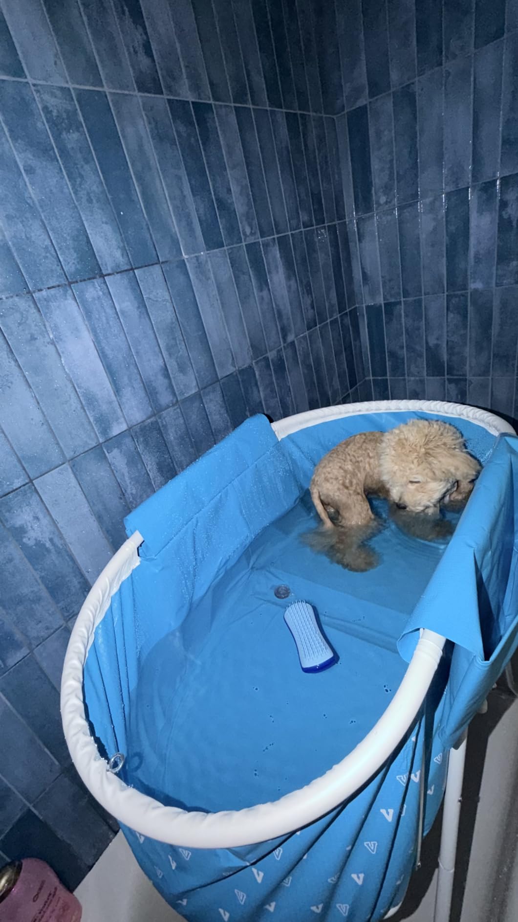 VEVOR Portable Dog Bathtub, Elevated & Foldable Space-Saving Pet Shower Station with Efficient Drainage, Bathing Tub for Washing & Grooming Small and Medium Size Dogs and Cats Indoor & Outdoor, Grey customer photo 2