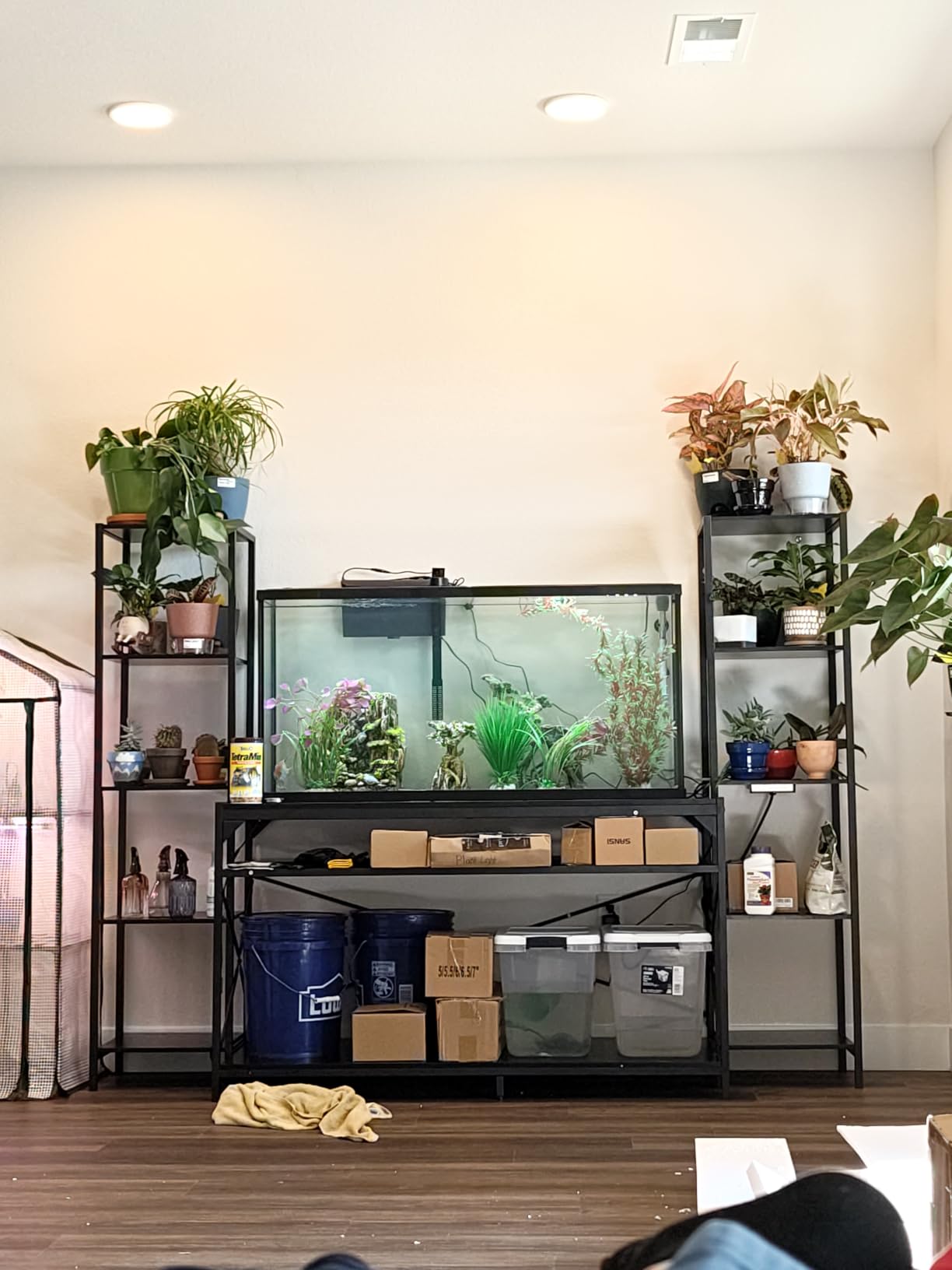 DWVO 55-75 Gallon Aquarium Stand with Power Outlet, Black & Gold | Display Stand for Turtle Tank, Reptile Terrarium, Metal Fish Tank Stand Suitable for Living Room, Entryway, 860LBS Capacity customer photo 1