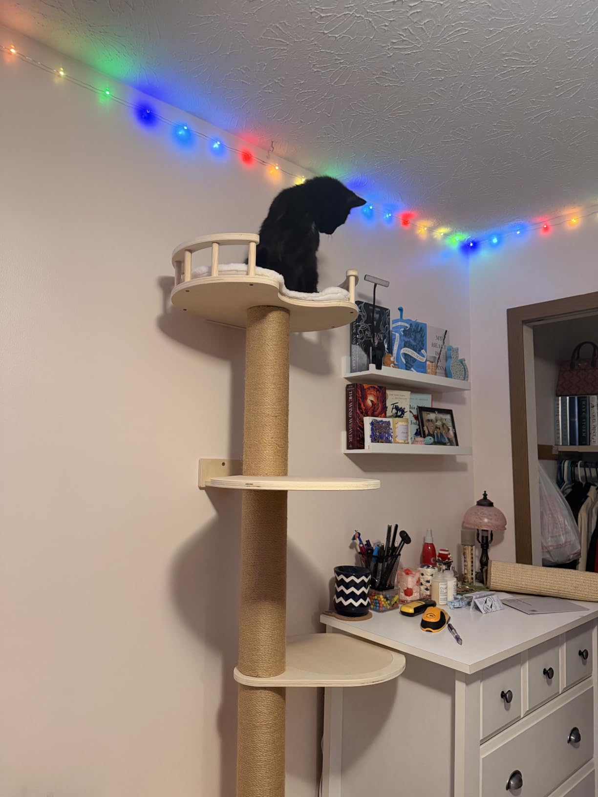 FUKUMARU Cat Wall Shelves, 5-Piece Stable Wooden Wall-Mounted Furniture Set, Kitty Climber with Hammock, House, Steps, Scratching Post (Beige) customer photo 1