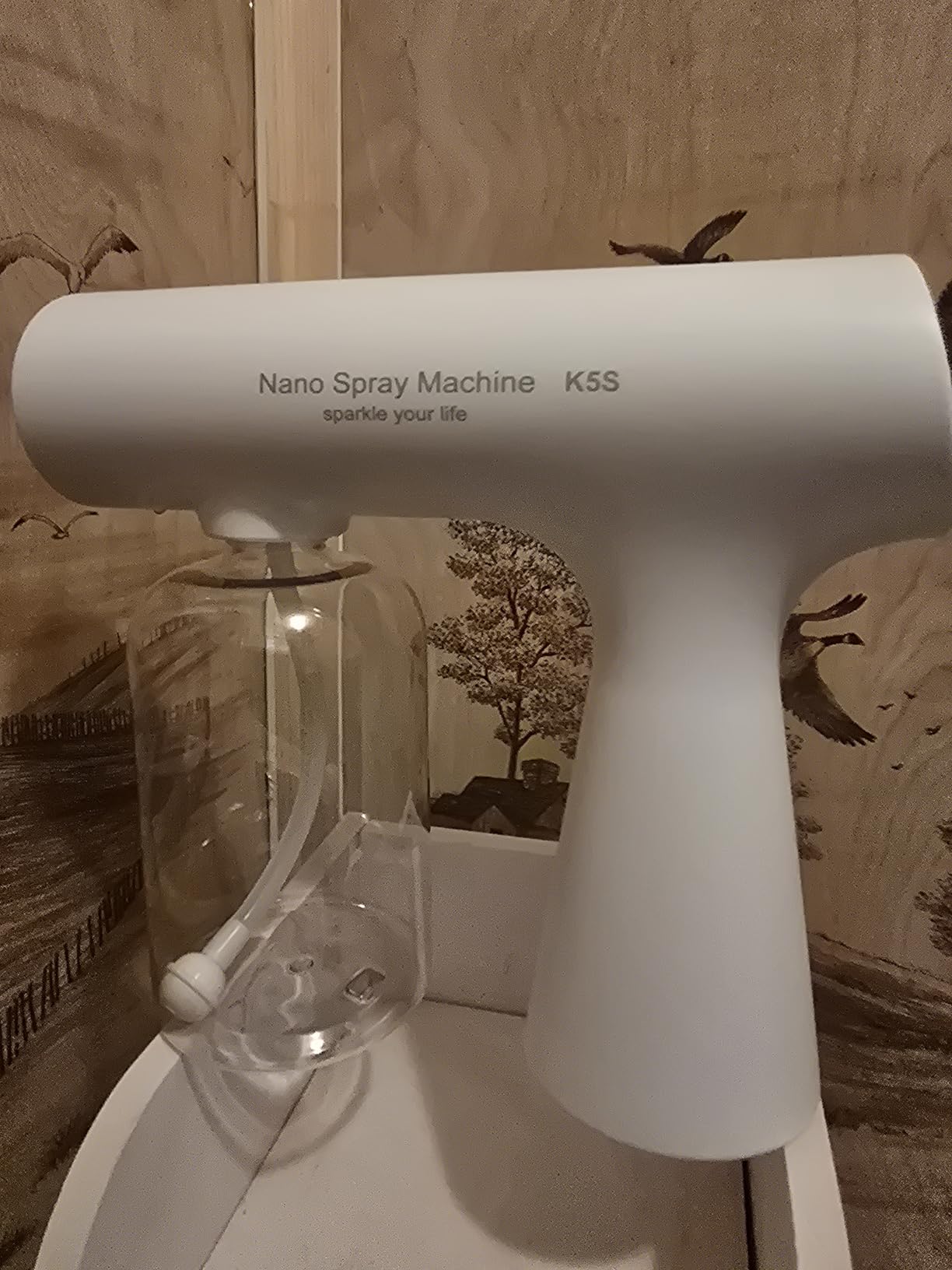 SOUJCEN 9W Handheld Nano Sprayer Portable Mist Device for Salon Styling customer photo 1