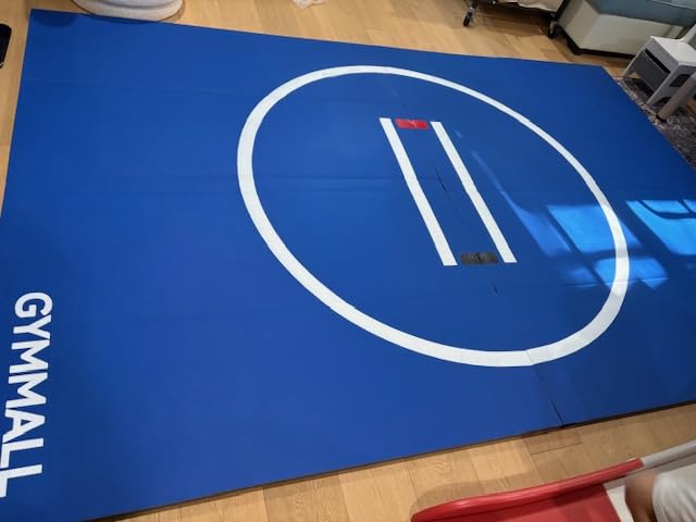 Wrestling Mat 10'x10'/8'x8'/6.6'x10' for Home Outdoor Indoor, 1.2
