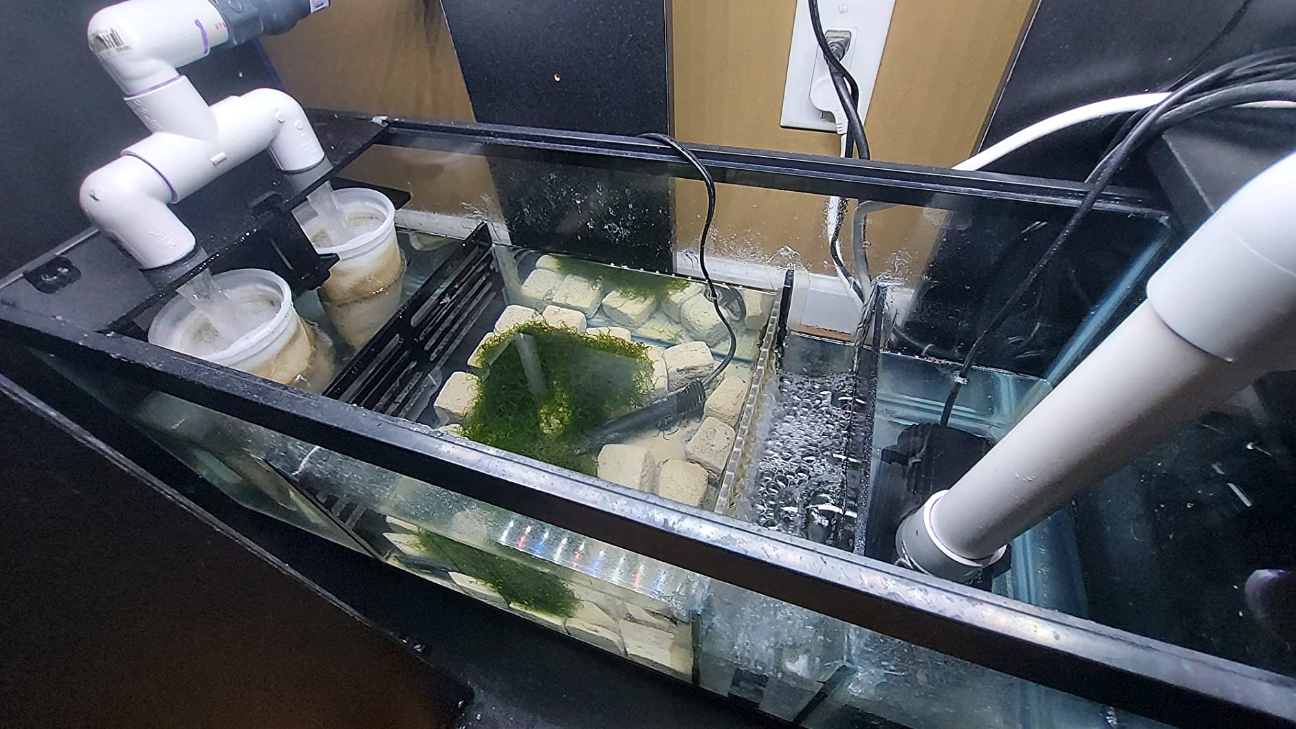 Adjustable Sump Baffle Kit - Refugium Kit for 10 Gallon Tank - Reef Aquarium - Saltwater Aquarium Filter System - Protein Skimmer Sump customer photo 2