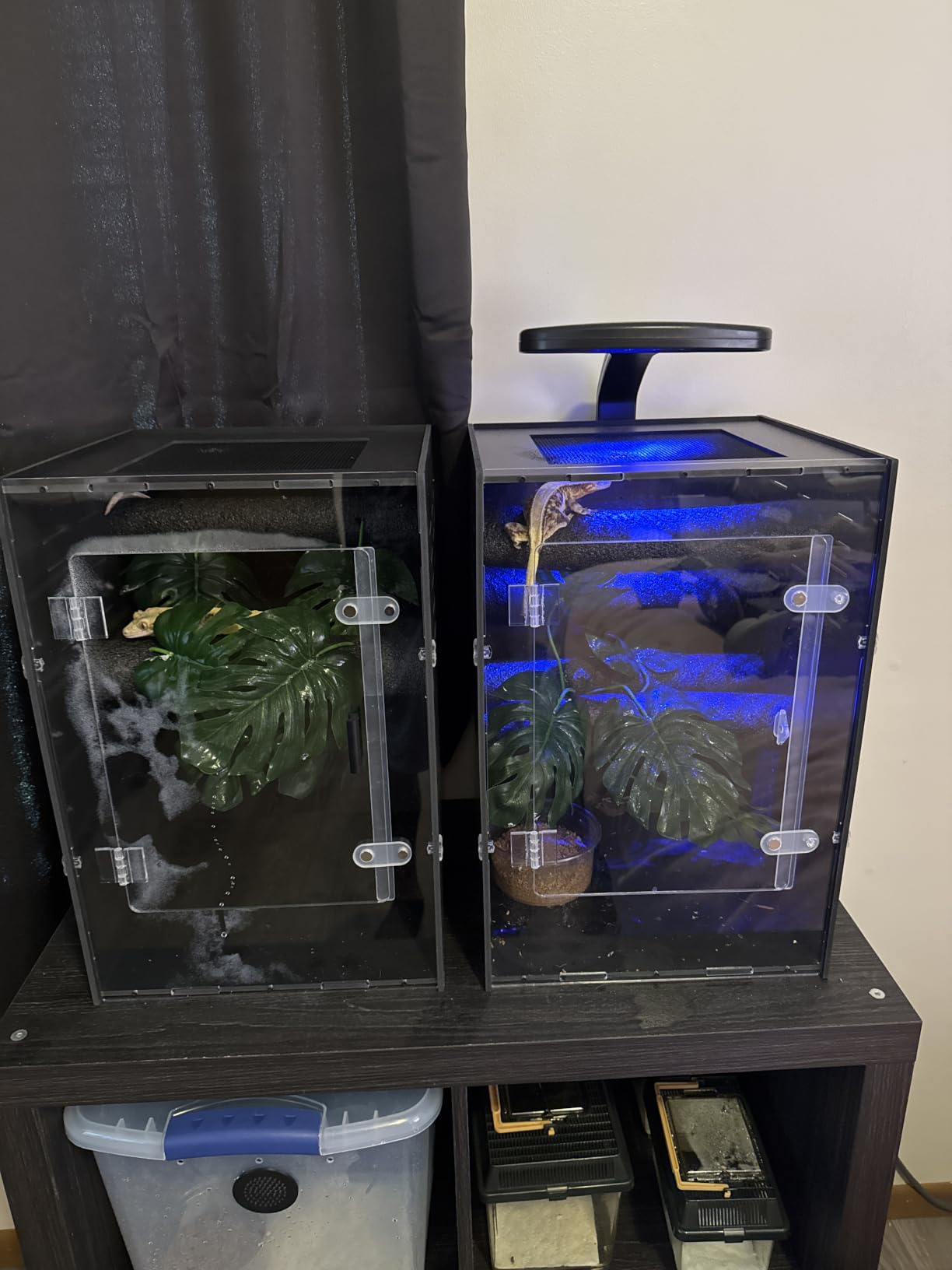 12x12x18 PVC Reptile Enclosure, Front Opening Tank for Reptiles customer photo 1