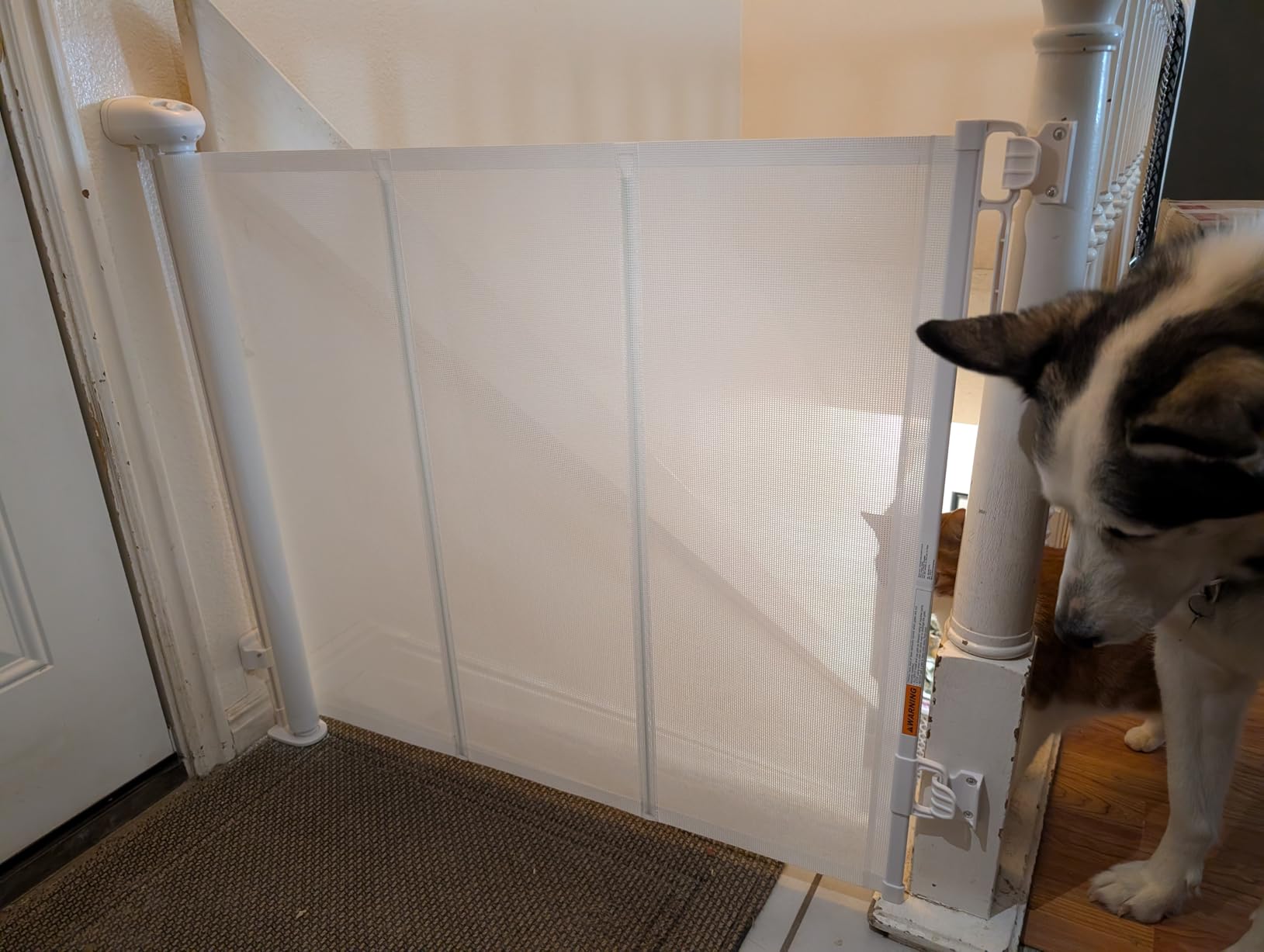 Retractable Baby Gate, 55