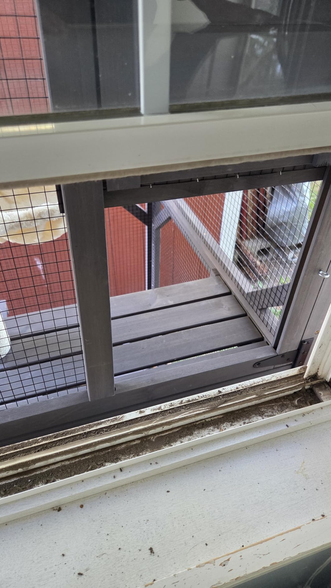 Aivituvin Catio Outdoor Cat Enclosure with Scratch Post, Hammock, Large Window Cat House for 2-6 Mulitiple Cats Walk in Kitty Cage with Tarp Roof 70