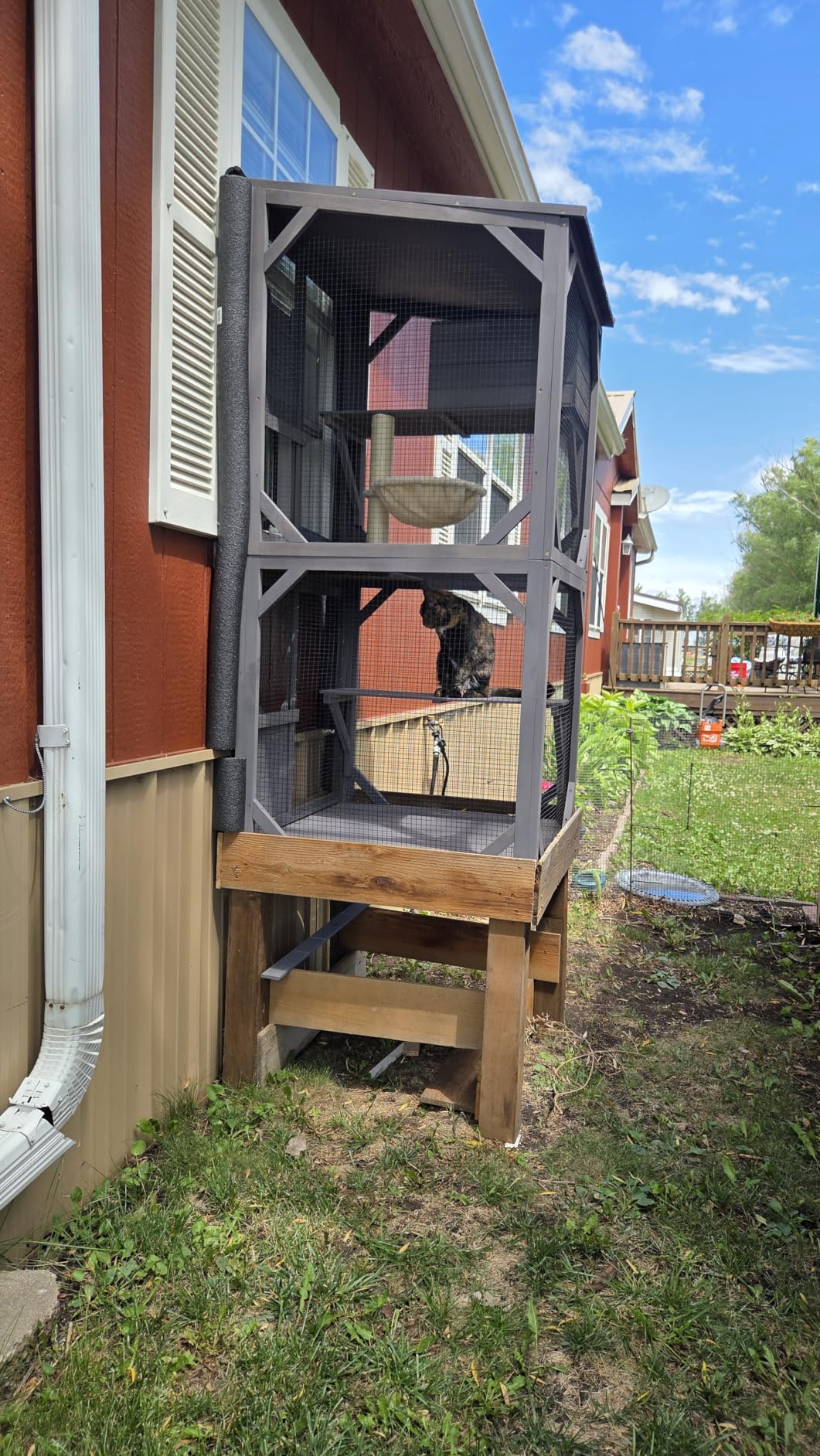 Aivituvin Catio Outdoor Cat Enclosure with Scratch Post, Hammock, Large Window Cat House for 2-6 Mulitiple Cats Walk in Kitty Cage with Tarp Roof 70