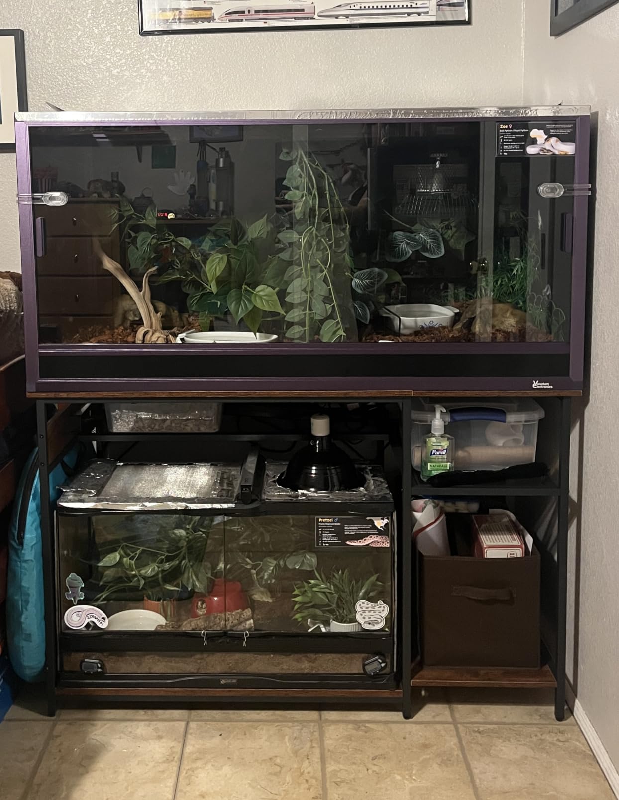 120 Gallon Fish Tank Stand with Power Outlets, Heavy Duty Large Aquarium Stand with Light, Double Reptile Tank Turtle Terrariums Table for Fish Tank Accessories Storage, 1100LBS Capacity customer photo 1