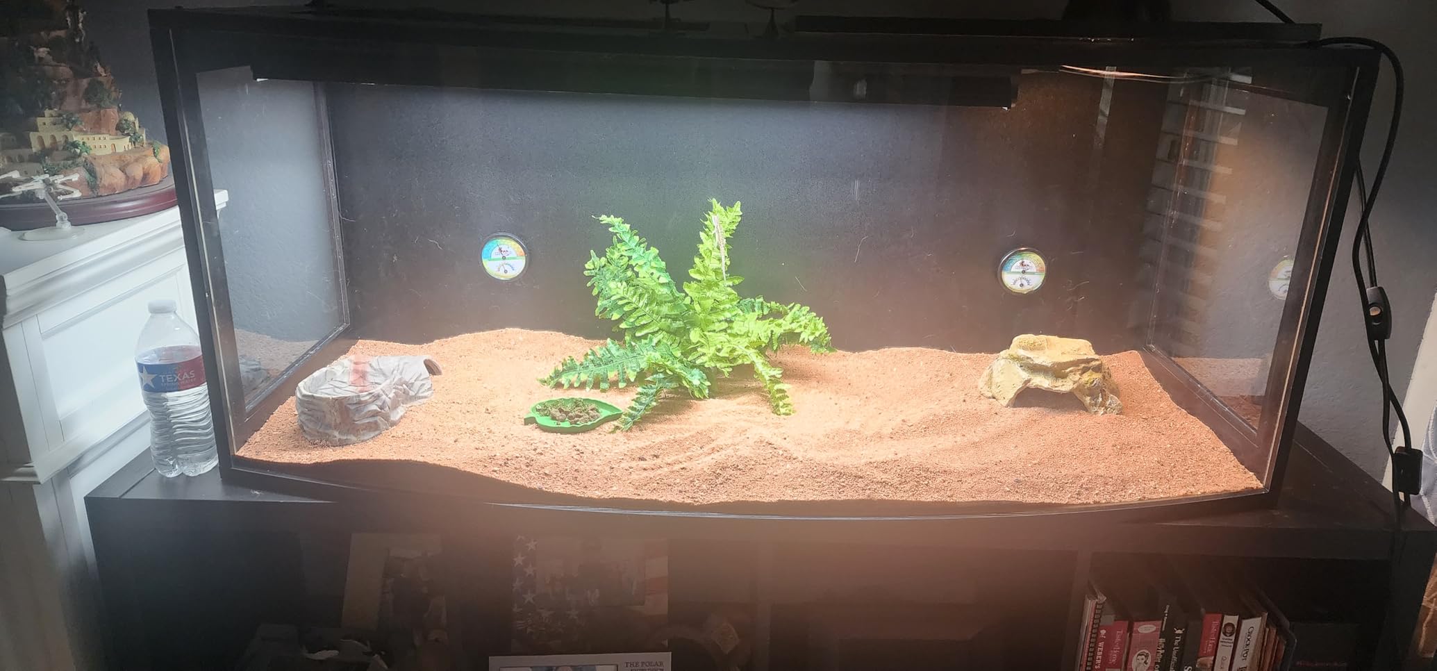 Bearded Dragon Tank, Curved Reptile Enclosure with 3-Side Clear Acrylic Panels, Spacious Lizard Tank with Metal Mesh Top and Lockable Door for Reptile Habitat (Black, 24