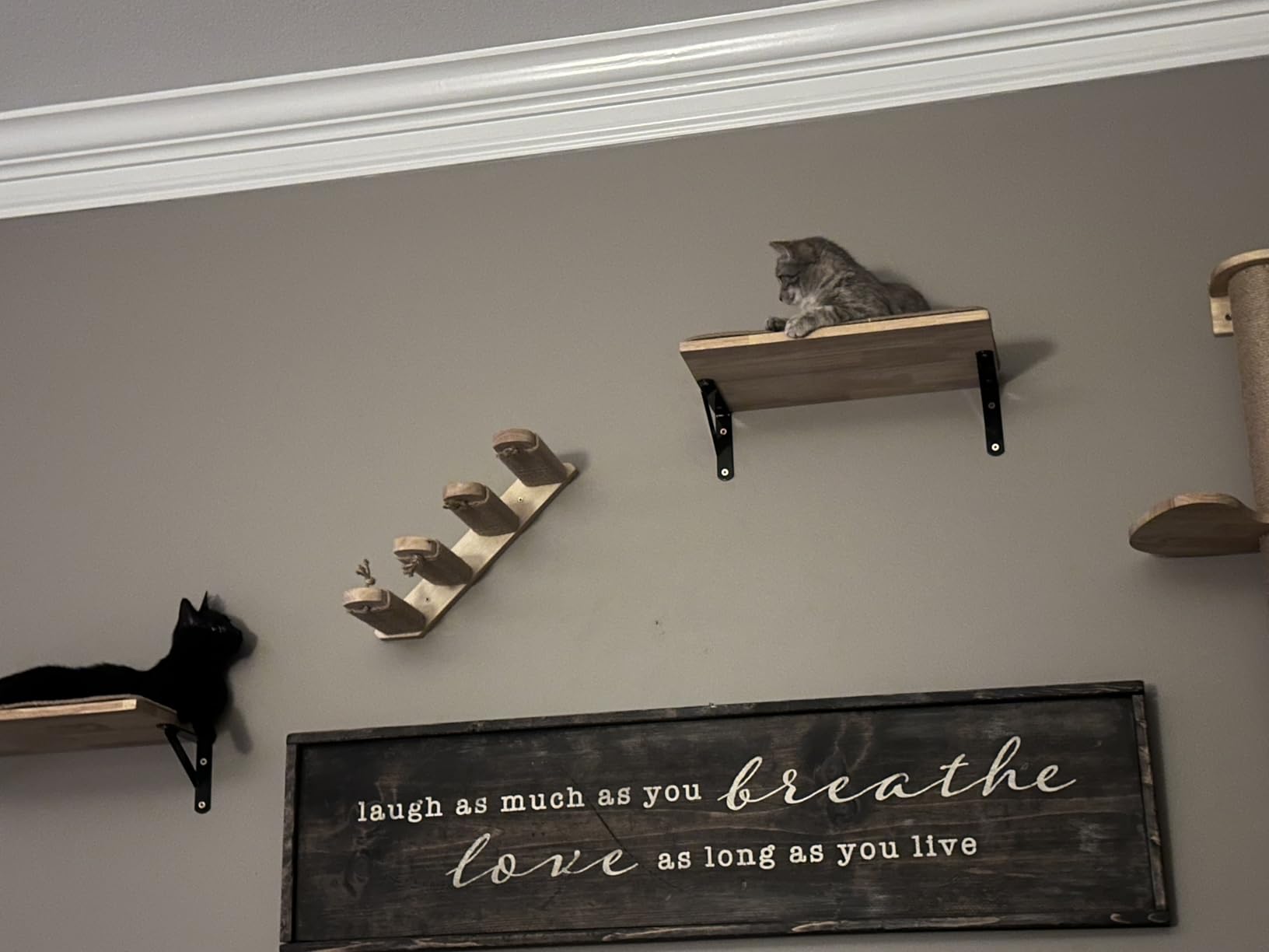 FUKUMARU Cat Climbing Shelf Wall Mounted, Large | Four Step Cat Stair, Natural Jute Scratching, Solid Rubber Wood, Kitten Shelves Furniture customer photo 1