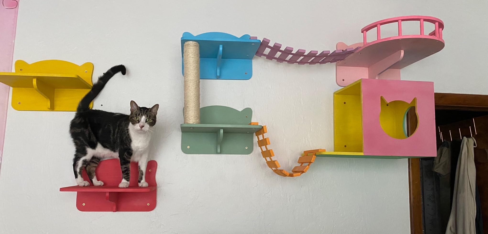 DWVO Solid Wood Cat Wall Shelves and Perches, Tall Floor to Ceiling Cat Tower w Scratching Posts, Wall Mounted Cats Furniture Climbing Shelves for Large Cats w Houses, Steps, Runway, Scratching Board customer photo 1