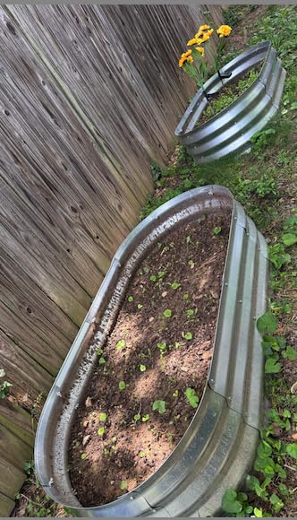 Galvanized Raised Garden Bed, 4x2x1ft, Oval, 2 Pack, Raised Garden Bed Kit | Rust-Resistant Garden Bed for Outdoor Easy to Assemble, Metal Planter Box for Vegetables Flowers, Open Base,Beginner-Friendly customer photo 1