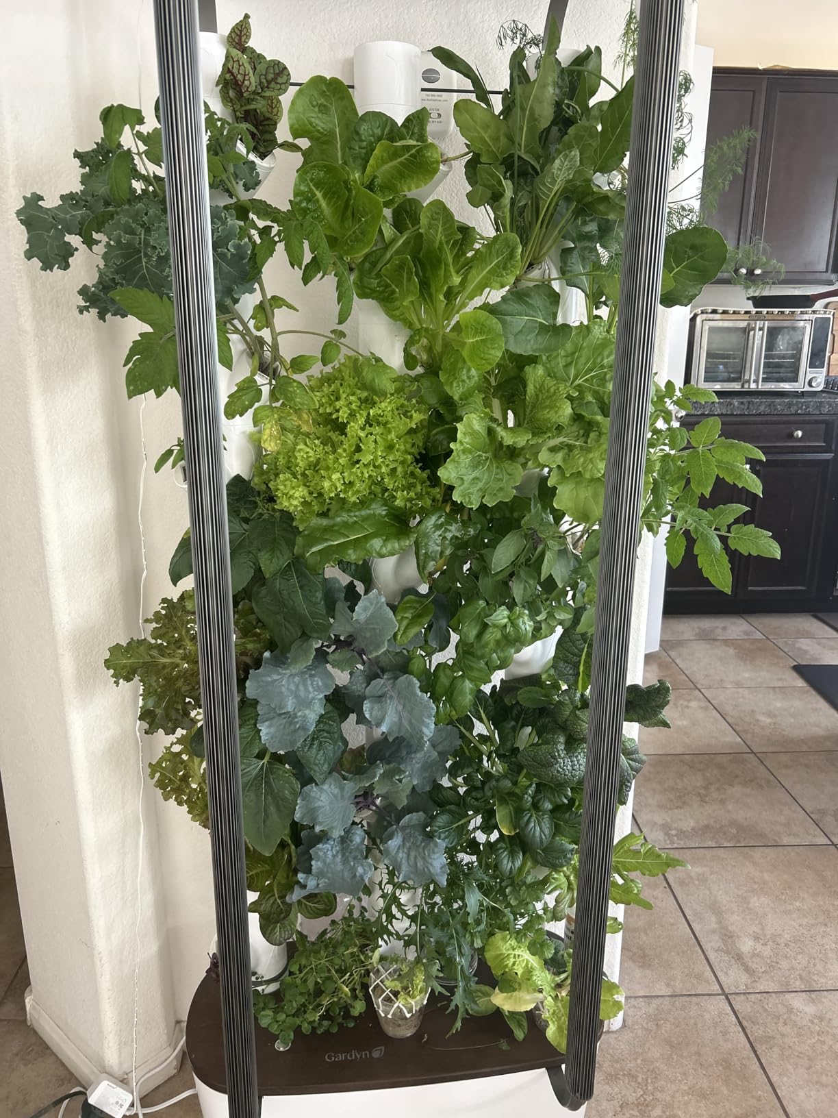 Gardyn Home 4 Vertical Hydroponics Growing System Kit - 30 Non-GMO Plants, Herbs, Vegetables - Smart Garden Hydroponic Herb Garden Planter Indoor Kit - Indoor Gardening System w/LED Grow Lights customer photo 2