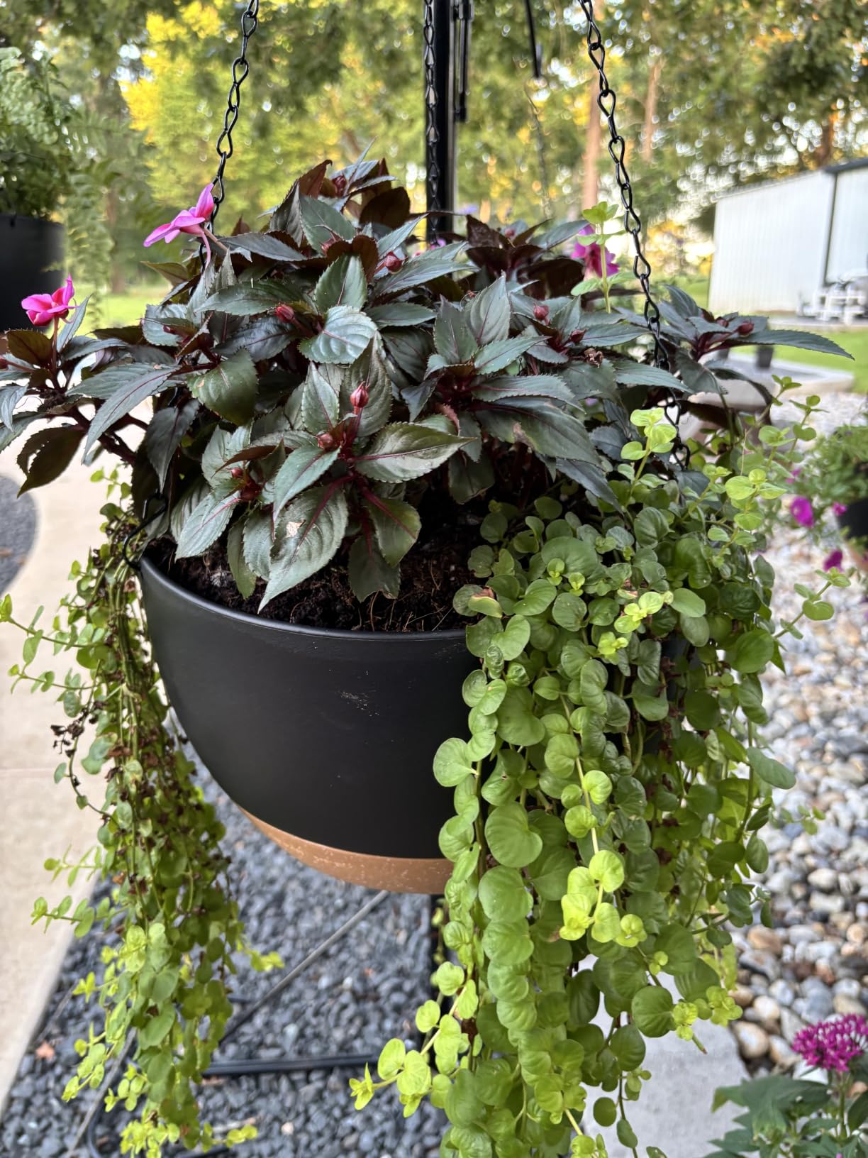 UOUZ 13 Inch 2 Pack Large Self Watering Hanging Planters for Indoor Outdoor Plants, with Removable 50 Oz Reservoir, Black customer photo 1
