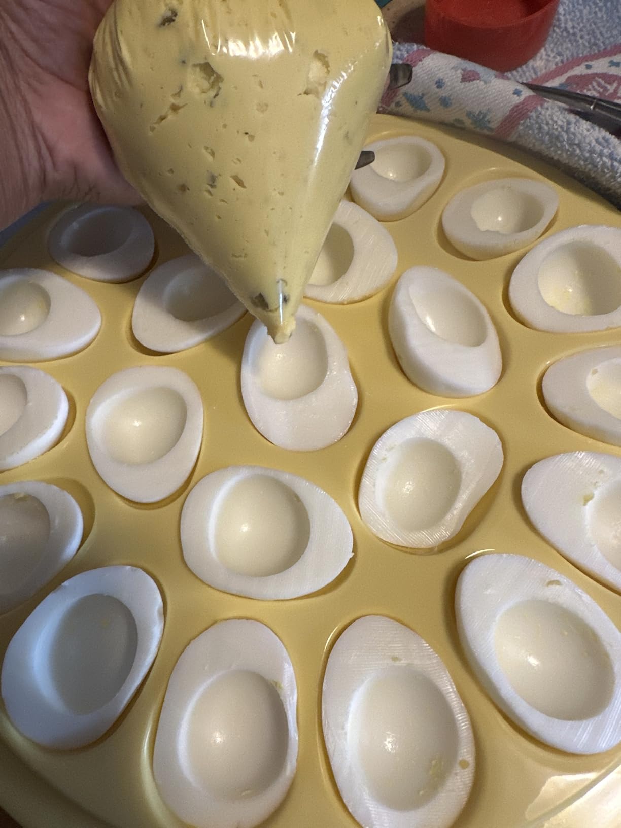 Deviled Egg Containers with Lid & Handles, 22-Count Portable Carrier, Dishwasher Safe Tray, Refrigerator Storage, High-Capacity Trays Deviled Egg Holder - Blue customer photo 1