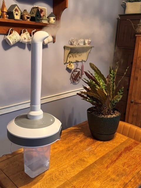 Humidifier Large Room 1000 sq.ft. Whole house & Commercial | Tankless Ultrasonic Cool Mist for Bedroom Home, Office, Plants, Greenhouse, 800ml/h Mist Output, Timer, Humidity Control customer photo 2