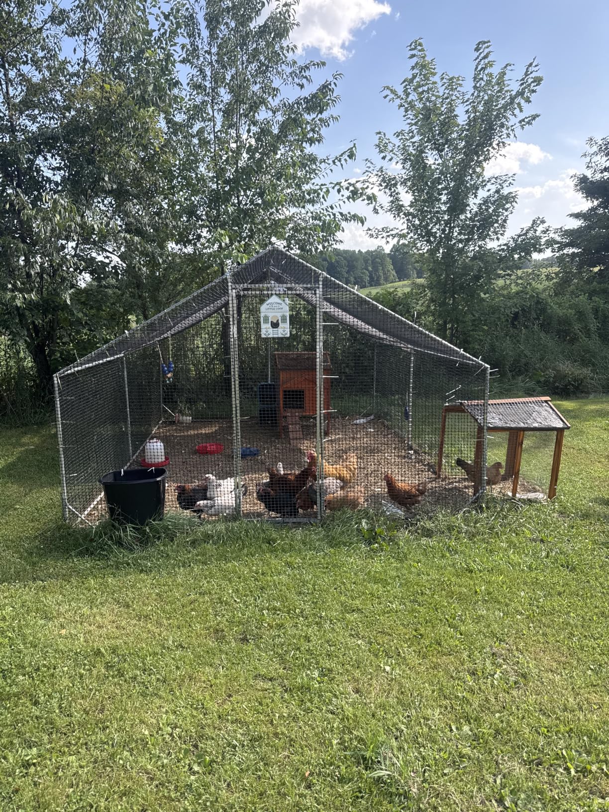 CAMMOO Metal Chicken Coop with Run, 9.8x6.6x6.6ft Walk-in Chicken Run for Yard with Cover, Upgrade Double Lock & Tough Mesh, Stainless Steel Ties, Easy Assembly, Chicken Pen for Ducks, Rabbits customer photo 1