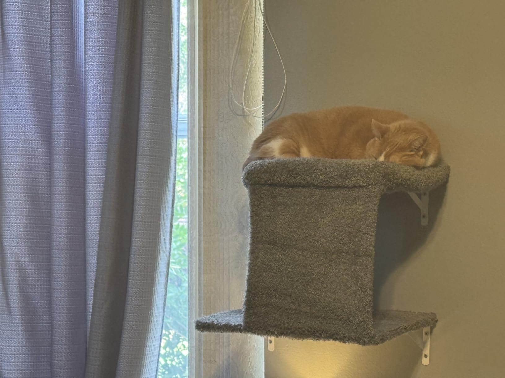 5-in-1 Cat Wall Shelves, Solid Wood & Velvet & Sisal Scratcher, 44lbs Max Load, Wall Mounted Cat Furniture for Climbers, Cat Climbing Wall System, Fits Drywall & Solid Walls - Cool Gray customer photo 1