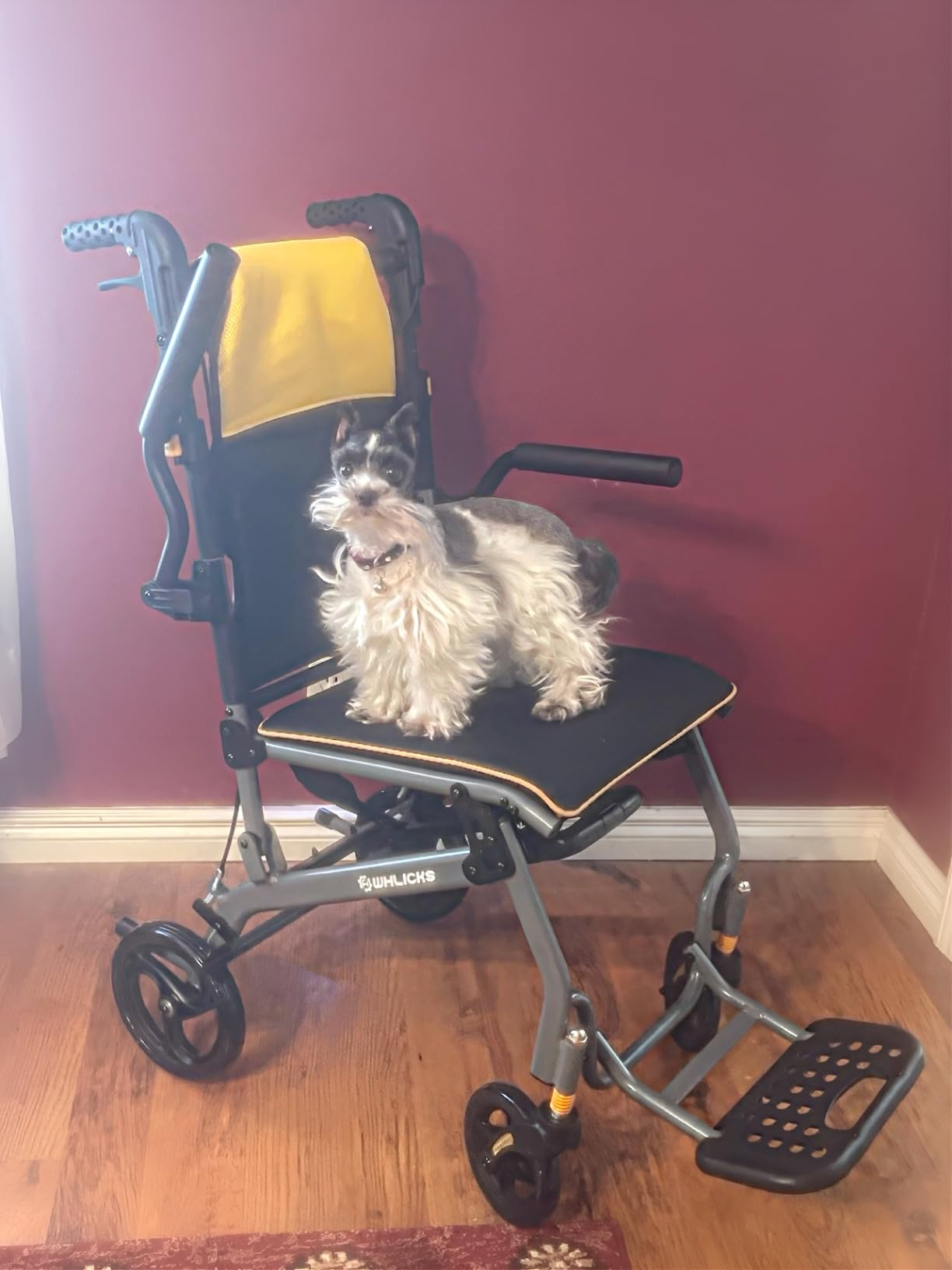 Wheelchairs for Adults Ergonomic Transport Chair Lightweight Foldable with 12-inch Big Wheels for All Terrains Travel Wheelchair with Removable Cushion customer photo 2