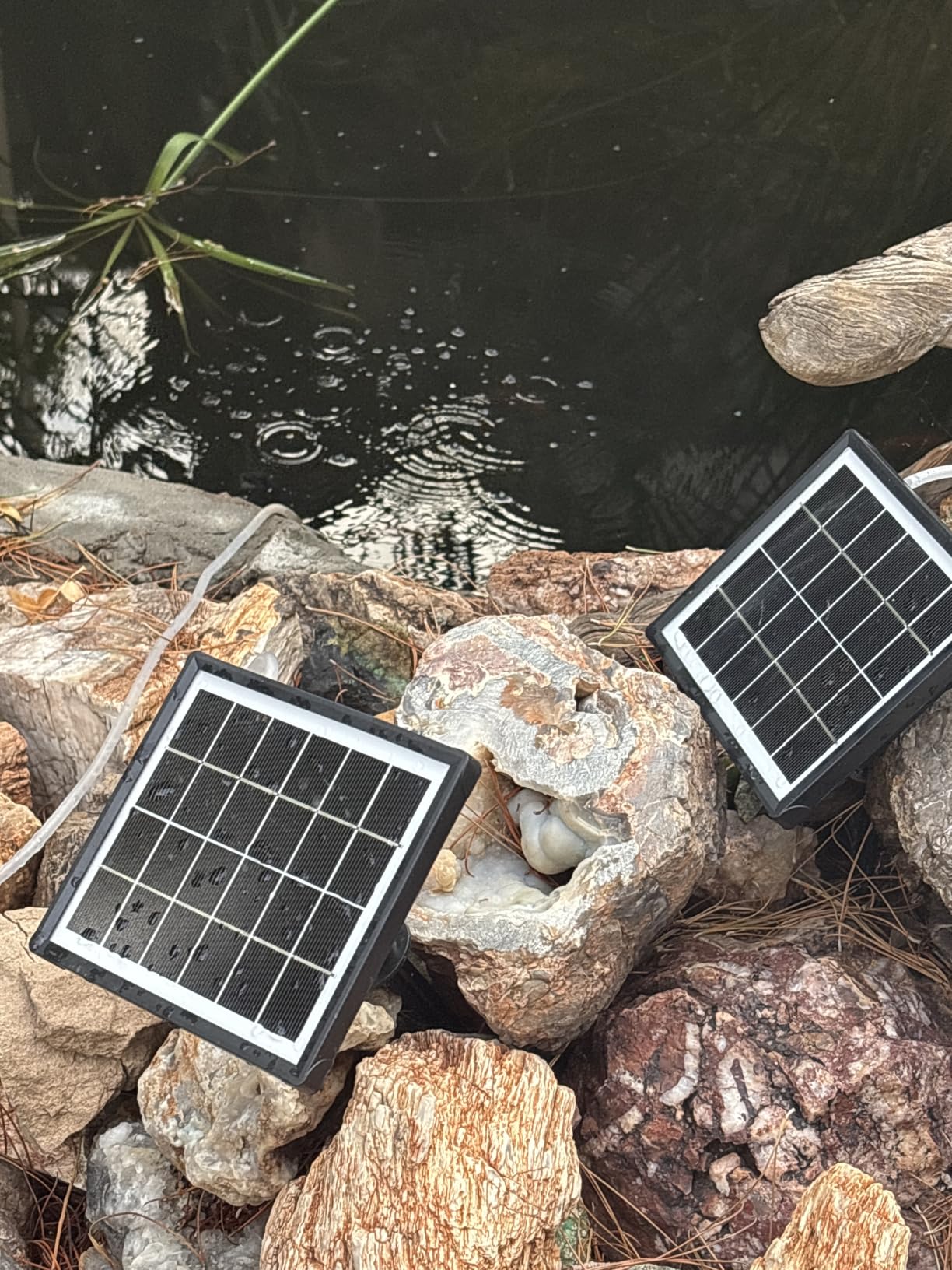 3W Solar Pond Aerator with 2200mAh Battery Backup, All-in-One Solar Air Pump, 24/7 Continuous Oxygenation, Quiet Operation, 3 Modes Bubbler, Portable for Small Ponds, Fish Tanks & Hydroponics customer photo 1