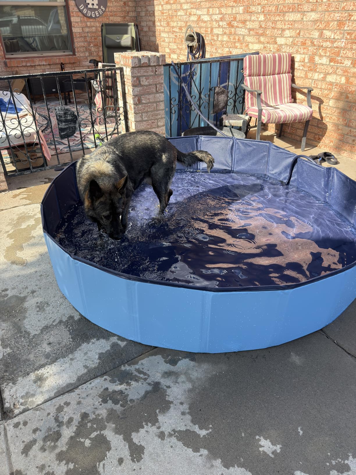 Dog Pool, EPN Dog Pools for Large Dogs, Durable Kiddie Pool, 75 x 16 Inch | Hard PVC foldable pool for Kids and Dogs, Leakproof Non-Slip Pet Wading & Bathing Tub with Drain, ideal for backyard Fun customer photo 1