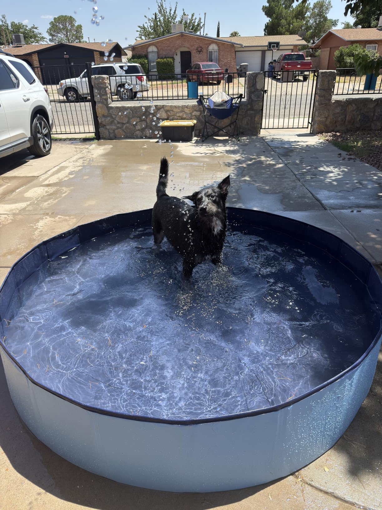 Dog Pool, EPN Dog Pools for Large Dogs, Durable Kiddie Pool, 75 x 16 Inch | Hard PVC foldable pool for Kids and Dogs, Leakproof Non-Slip Pet Wading & Bathing Tub with Drain, ideal for backyard Fun customer photo 2