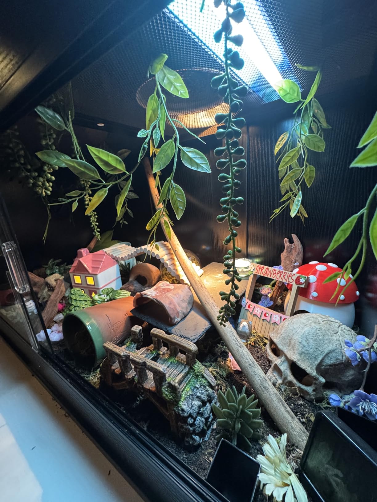 unipaws 50 Gallon Reptile Tank for Lizards, Leopard Geckos Enclosure Cage customer photo 2