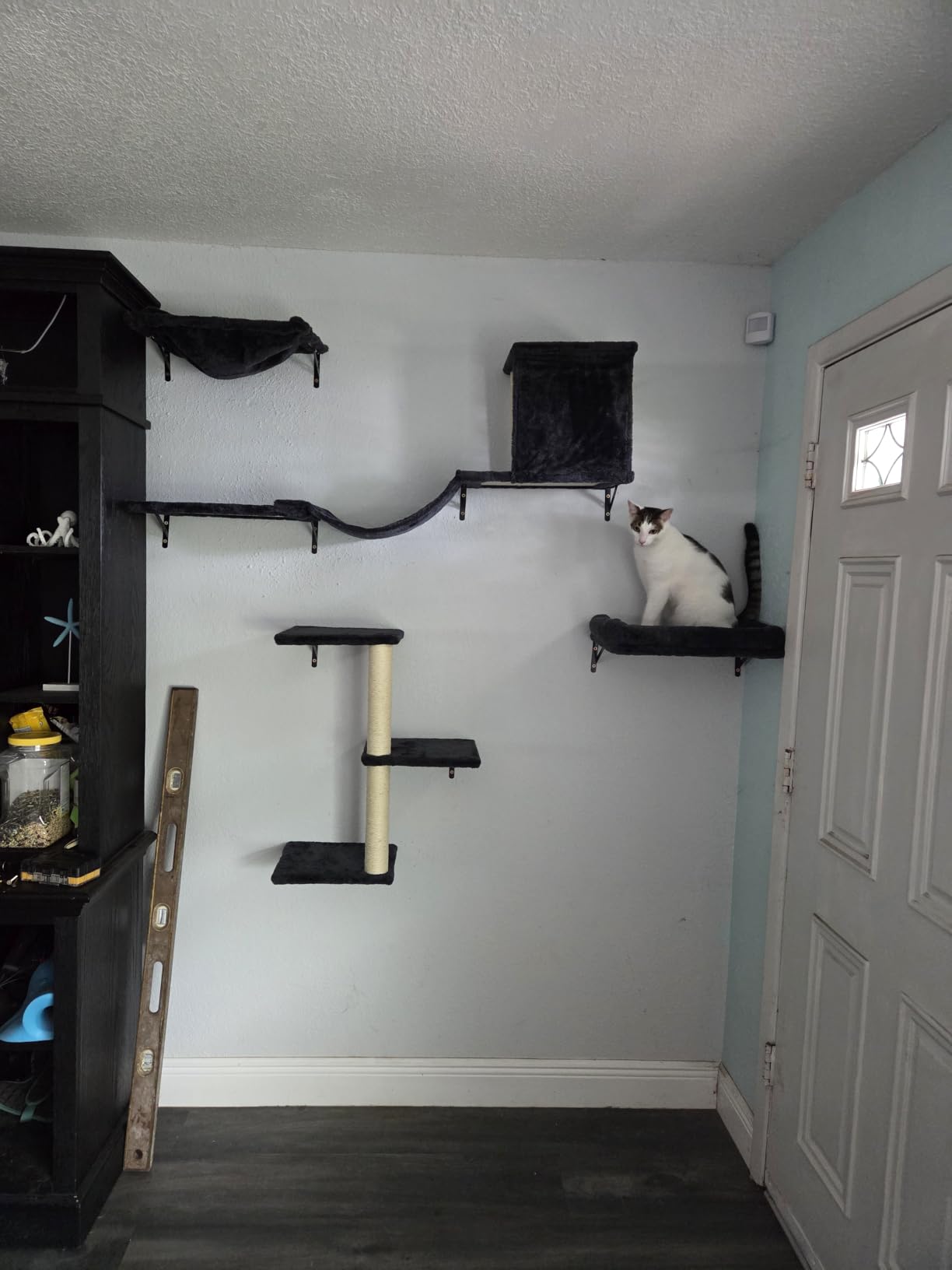 Aechonow Heavy Duty Cat Wall Shelves for Large Cats, 6-in-1 Cat Furniture Set with 17