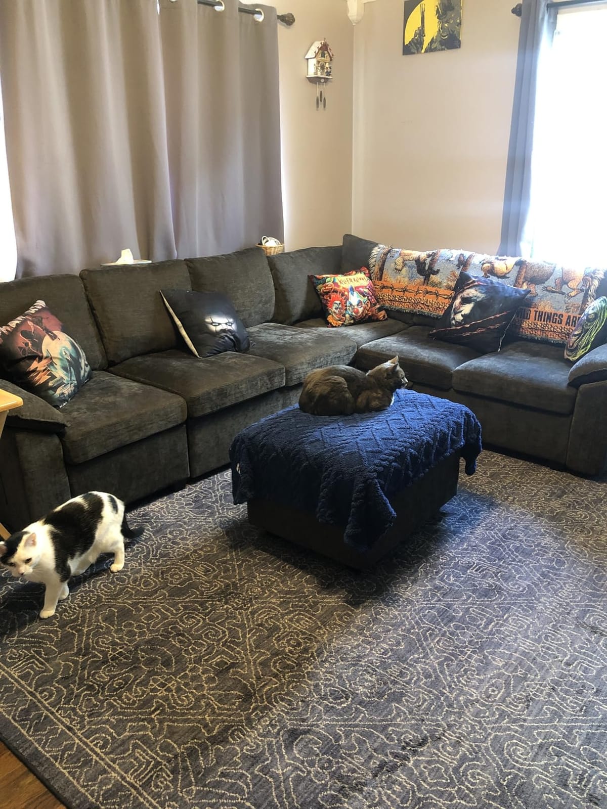 85'' Modular Sectional Sofa with Pull Out Bed, Sleeper Sofa, Dark Gray | L Shaped 5 Seat Sectional Couches for Living Room, Cloud Modular Couch with Storage, Pull Out Couch, Removable Sofa Cover customer photo 1