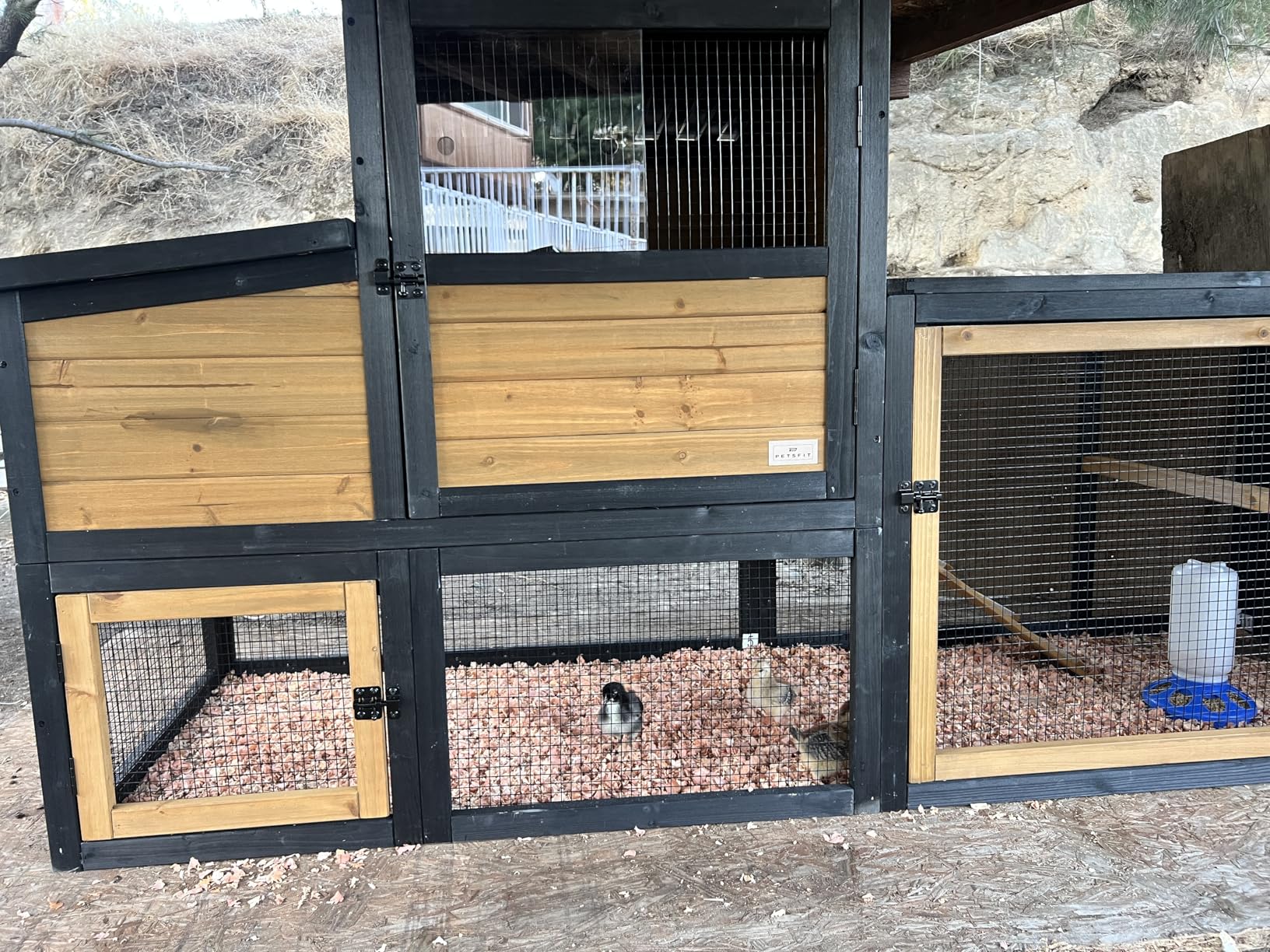 Petsfit Outdoor Chicken Coop for 2-4 Chickens with Run, 2 Nesting Boxes | Weather-resistant PVC roof, sliding window, 3-door cleaning access, 2 roost bars and 6 ground stakes for stability customer photo 1