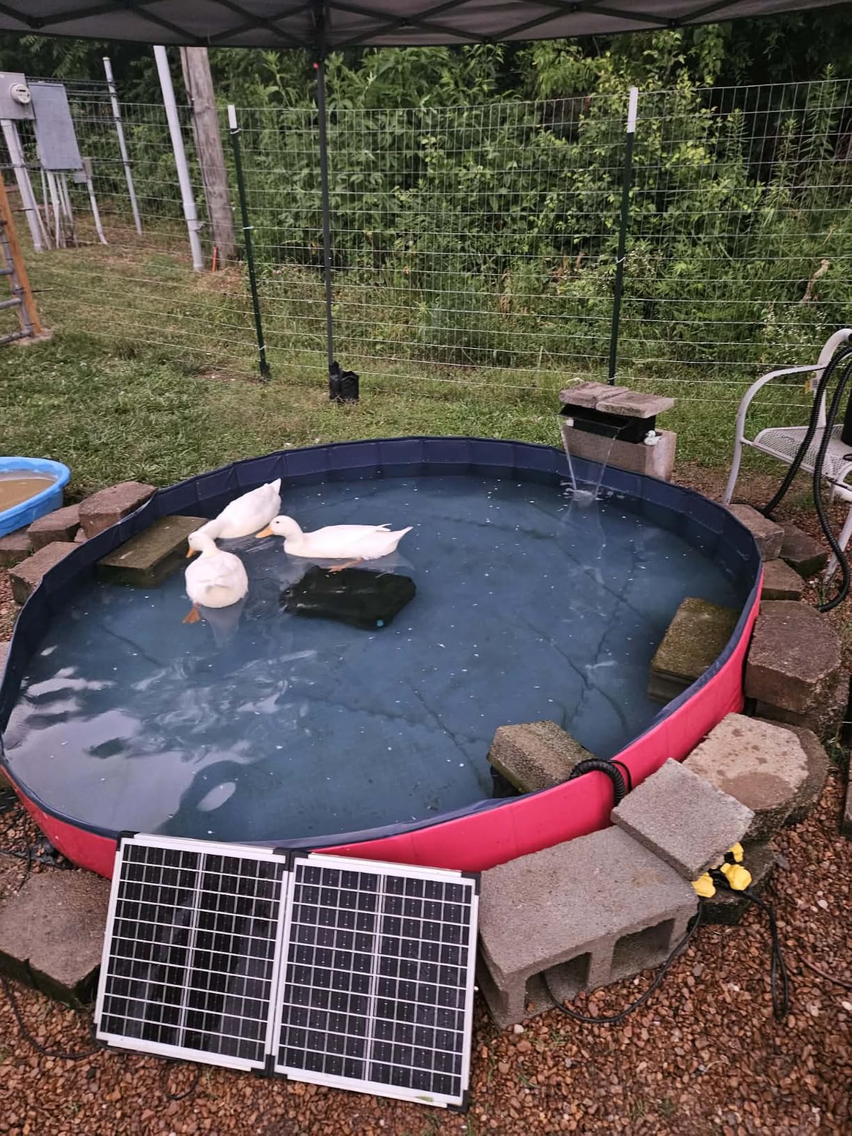 Pond Waterfall Spillway Kit, Pond Waterfall Filter with 980GPH Quiet Pond Pump & Filter Cage, 13 Ft Corrugated Tubing, Filter Media for Outdoor Ponds up to 3,000 Gallons customer photo 2