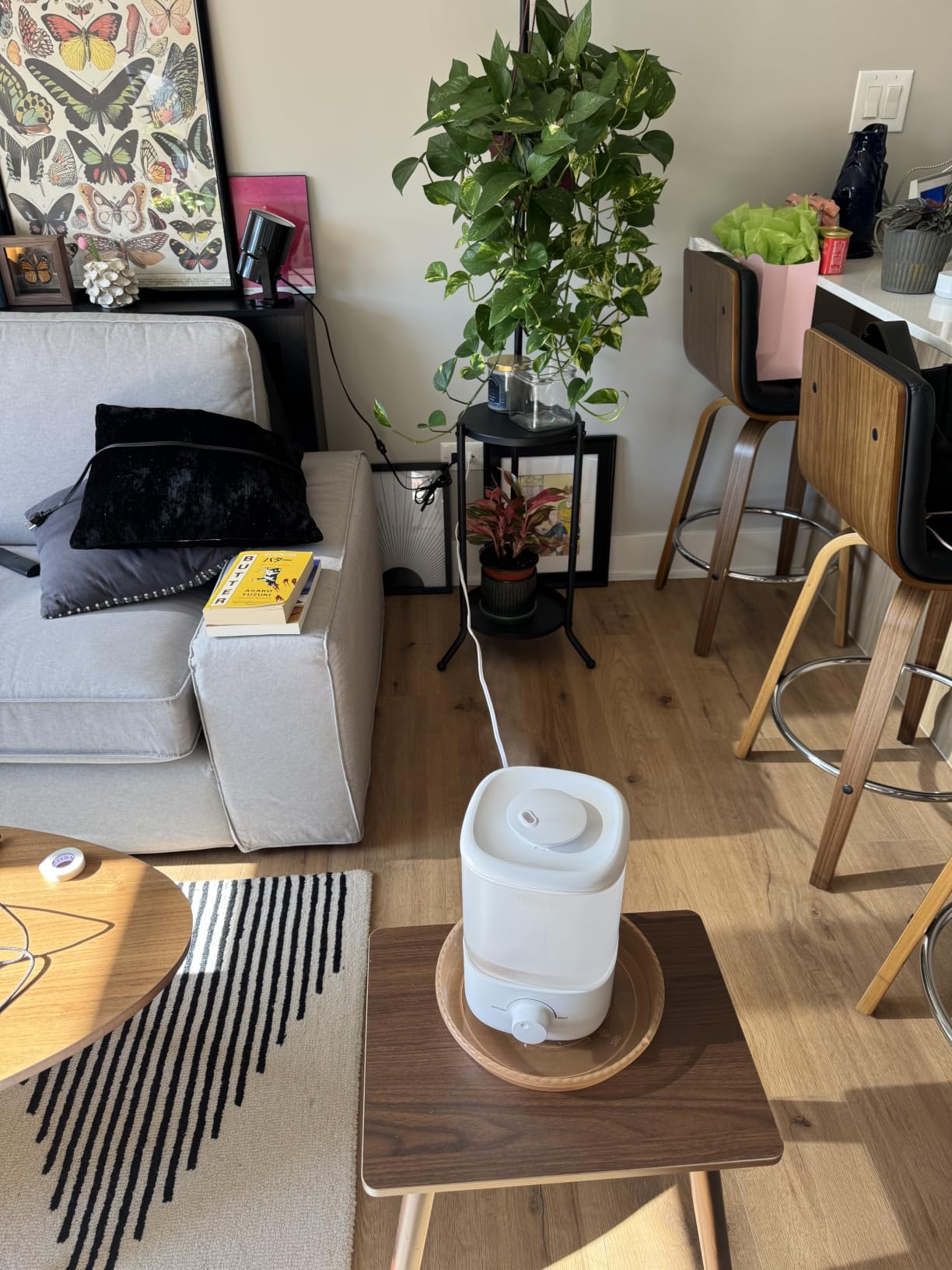 LEVOIT Humidifiers for Bedroom, 4.2L Top Fill for Large Room, 42H Runtime | 42H Runtime, Easy to Clean, 21dB Quiet Cool Mist for Baby, Plants, Night Light, Essential Oil Diffuser customer photo 2