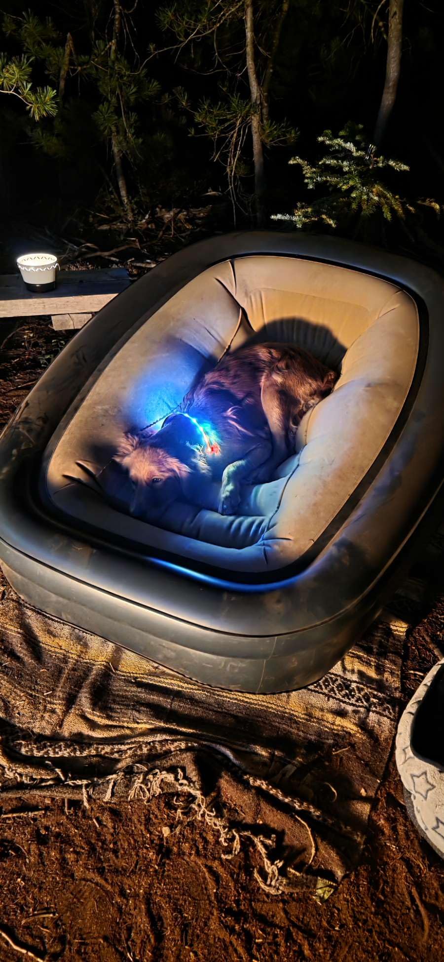 FluSing Blow Up Couch for Camping, Inflatable Chairs for Adults Heavy Duty | Flocked Inflatable Camping Couch Indoor, Portable Air Sofa Inflatable Couch, Comfortable Air Sofa Bed Mattress for Outdoor customer photo 1