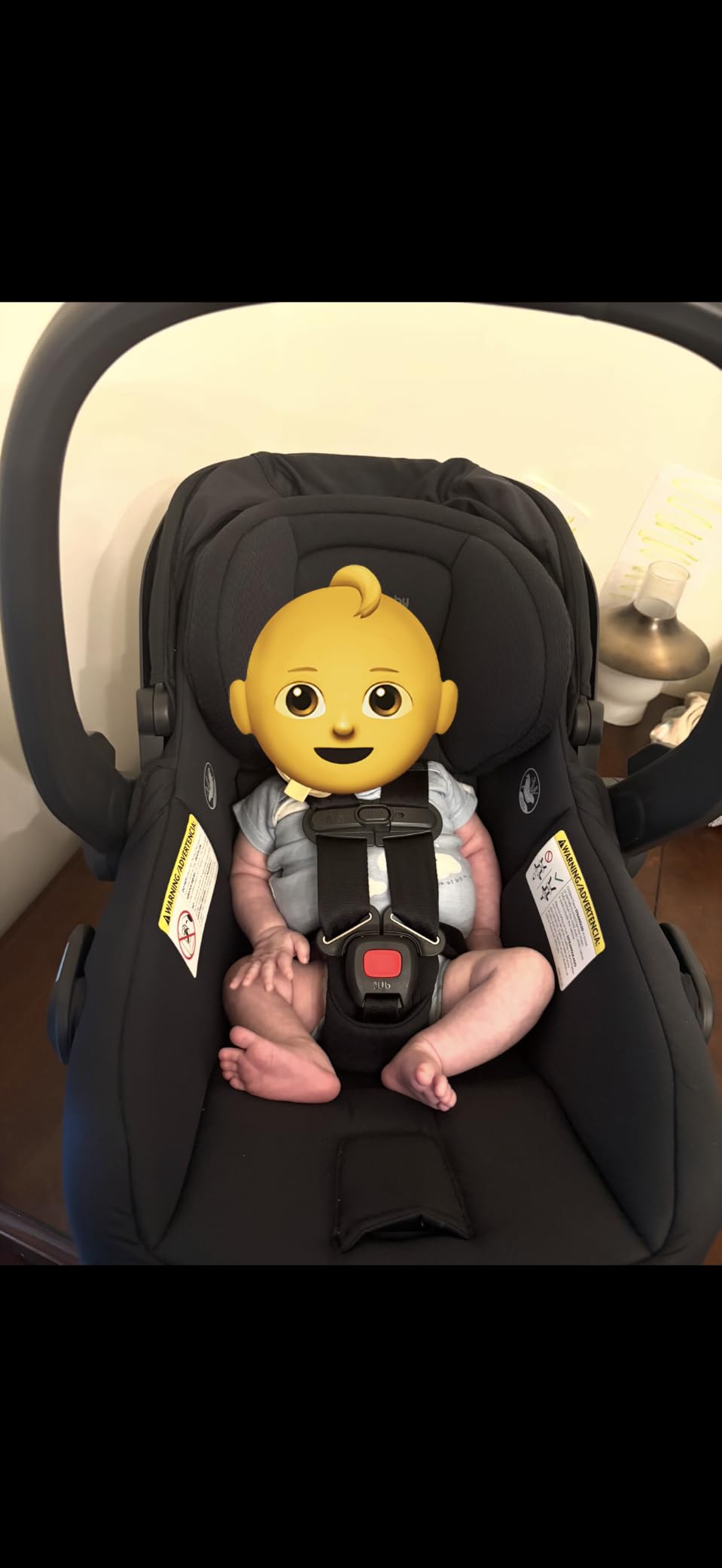 UPPAbaby Mesa V3 Infant Car Seat with Base, Insert & SmartSecure - Ada | Suitable for infants from 4-30 lbs, No-rethread harness, Base included, 25 Headrest positions customer photo 1