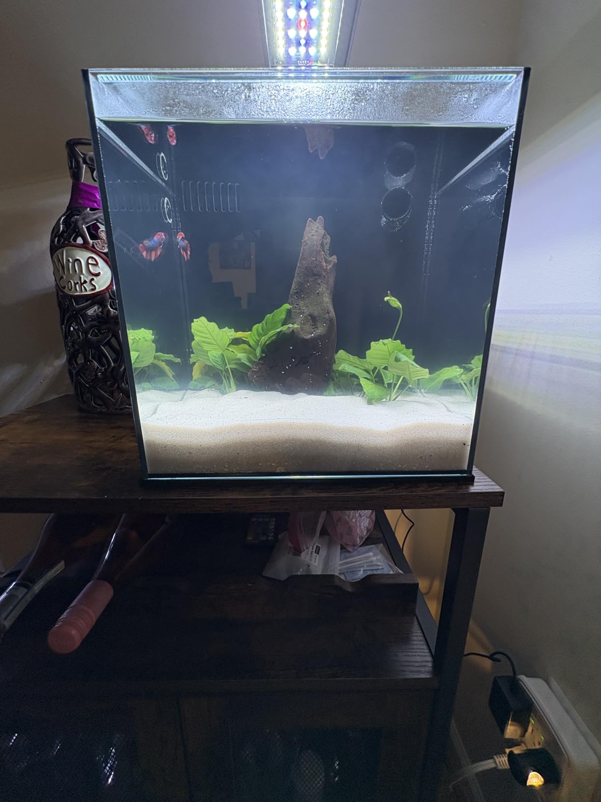 Ultum Nature Systems Dual AIO - Freshwater/Saltwater Compatible, All in One Rimless Tank with Triple Chamber Filtration System, Integrated Filter Aquarium with Leveling Mat - 10 Gallon, 60SA, Black customer photo 1
