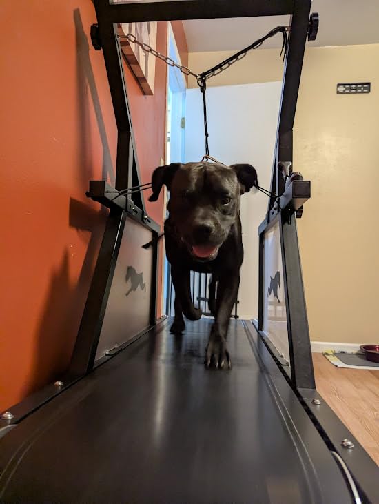 Dog Treadmill, HotFeed Dog Slat Mill for Medium Dogs, Doggy Treadmill with Brake & Plastic Track, Dog Pacer Treadmill to Keep Active and Fit, Up to 300LBS customer photo 1