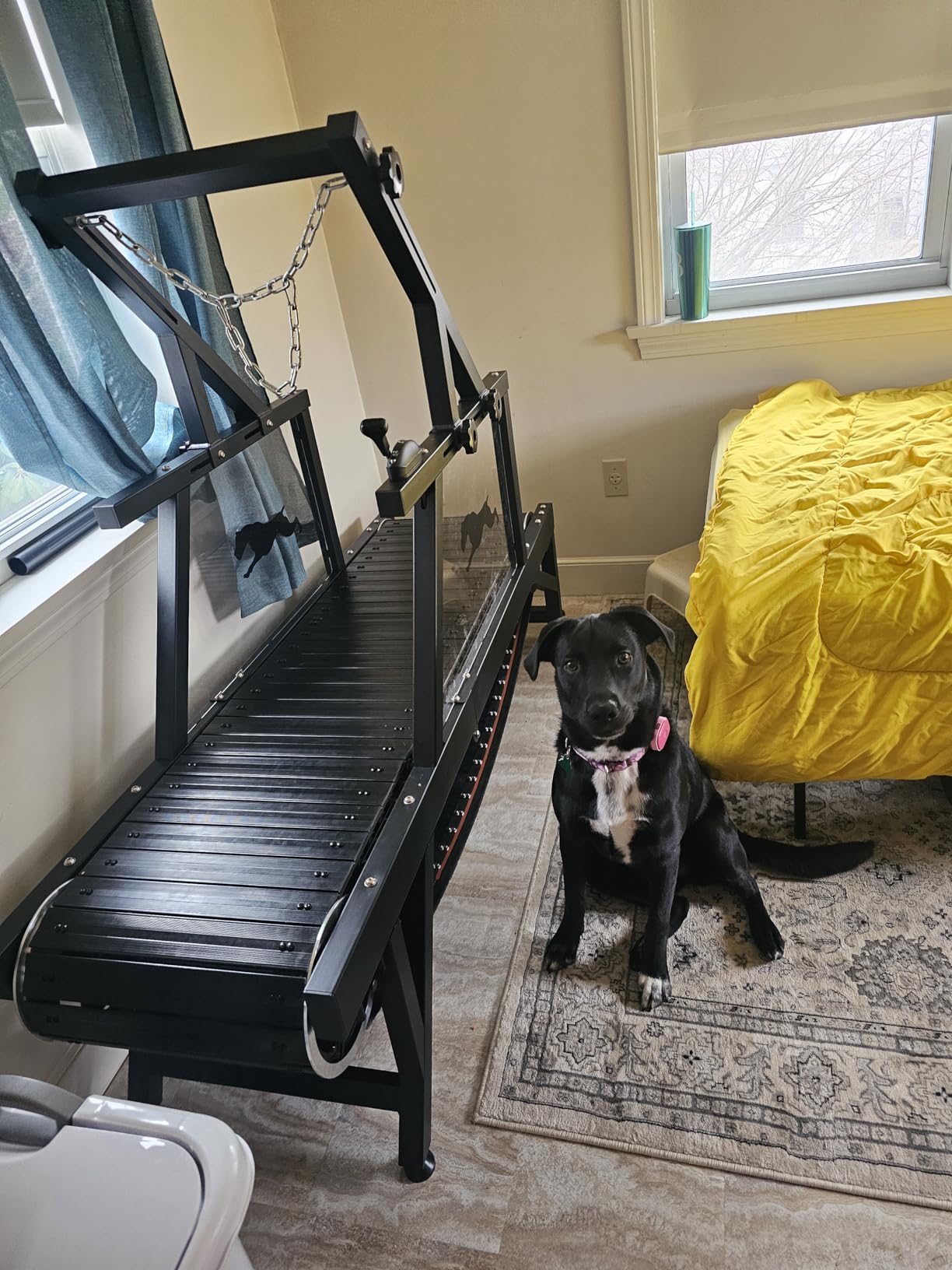 Dog Treadmill, HotFeed Dog Slat Mill for Medium Dogs, Doggy Treadmill with Brake & Plastic Track, Dog Pacer Treadmill to Keep Active and Fit, Up to 300LBS customer photo 2