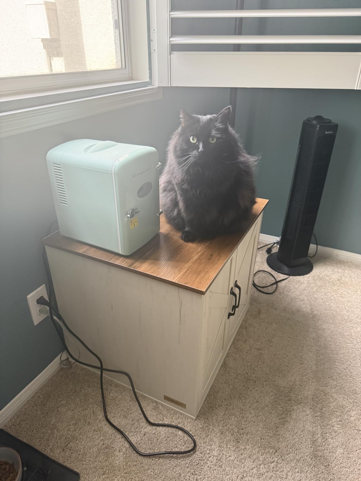 Feandrea Cat Litter Box Enclosure, Indoor Pet House End Table (HAINS Collection) customer photo 1