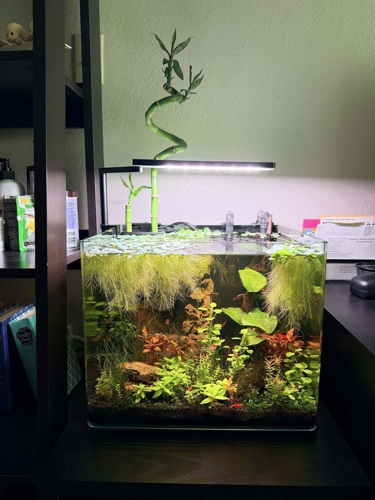 FZONE Solo Series Nano LED Aquarium Marine Reef Light, Smart App-Controlled and Dimmable, for Rimless Saltwater and Reef Coral Tanks customer photo 2