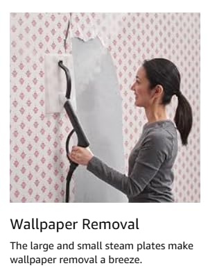 Wagner Spraytech 915e Multipurpose Steam Cleaner, 18 Accessories | On-demand steamer includes 18 accessories for floors, household surfaces and wallpaper removal. customer photo 2